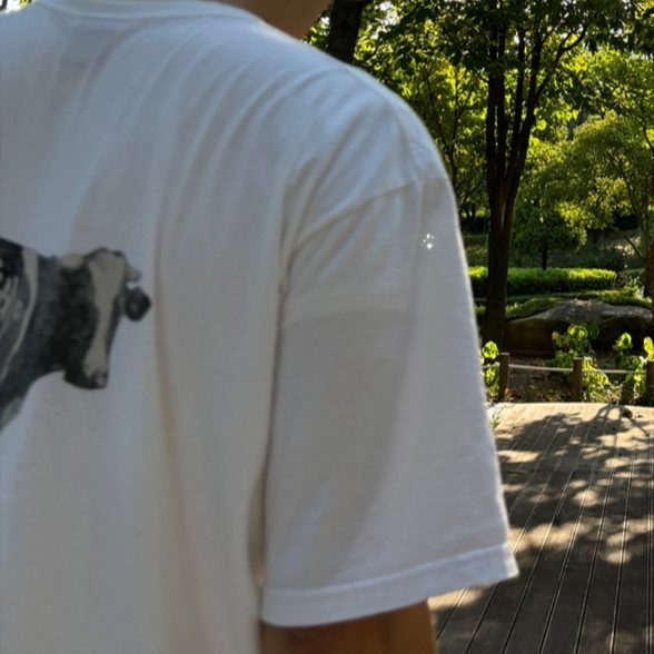 Stussy Grassfed T-Shirt White 착용 스타일