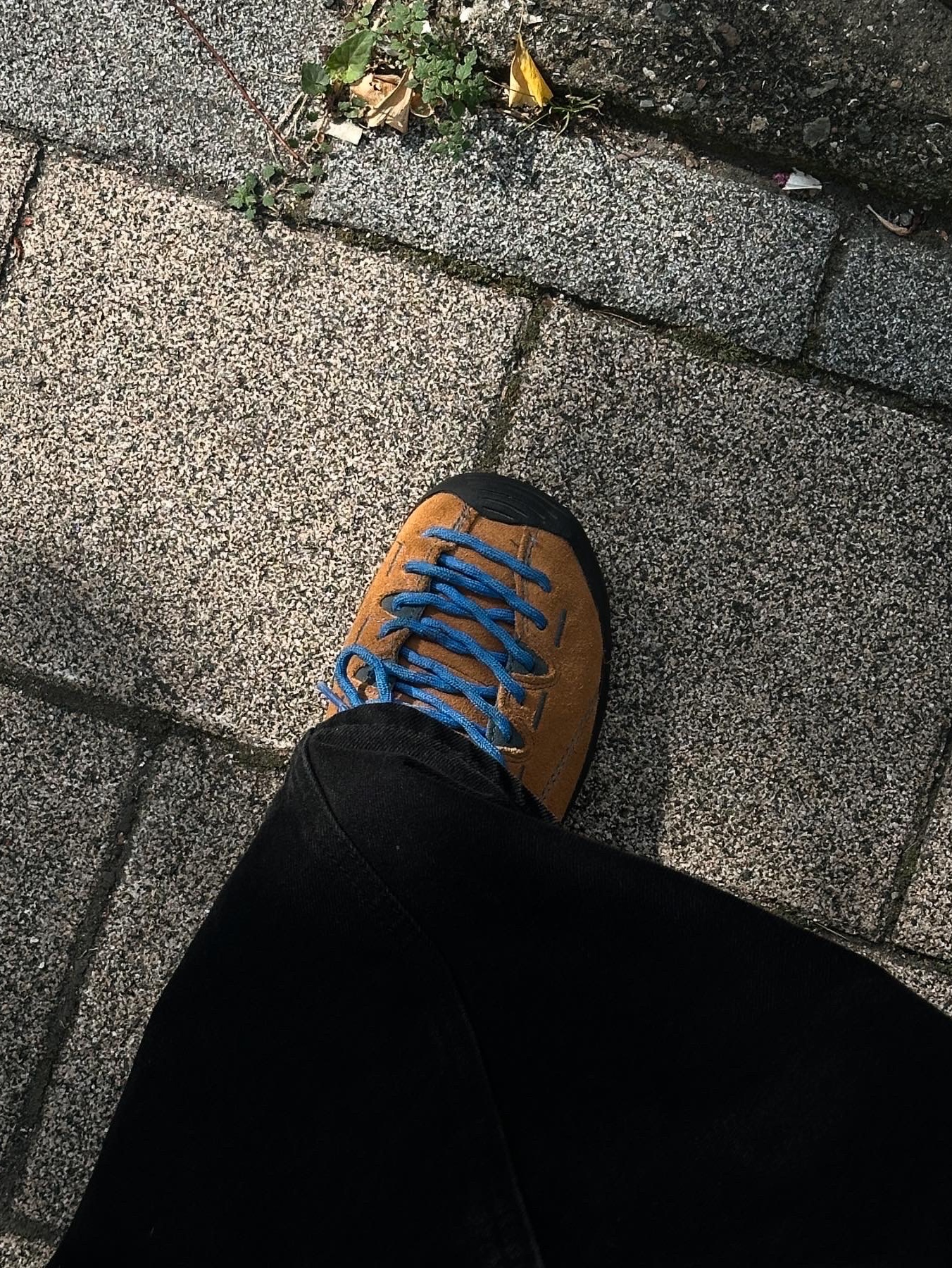 Keen Jasper Suede Sneakers Camel, Open Yy x Hello Kitty Shopper Tote Bag Silver 착용 스타일 - 2