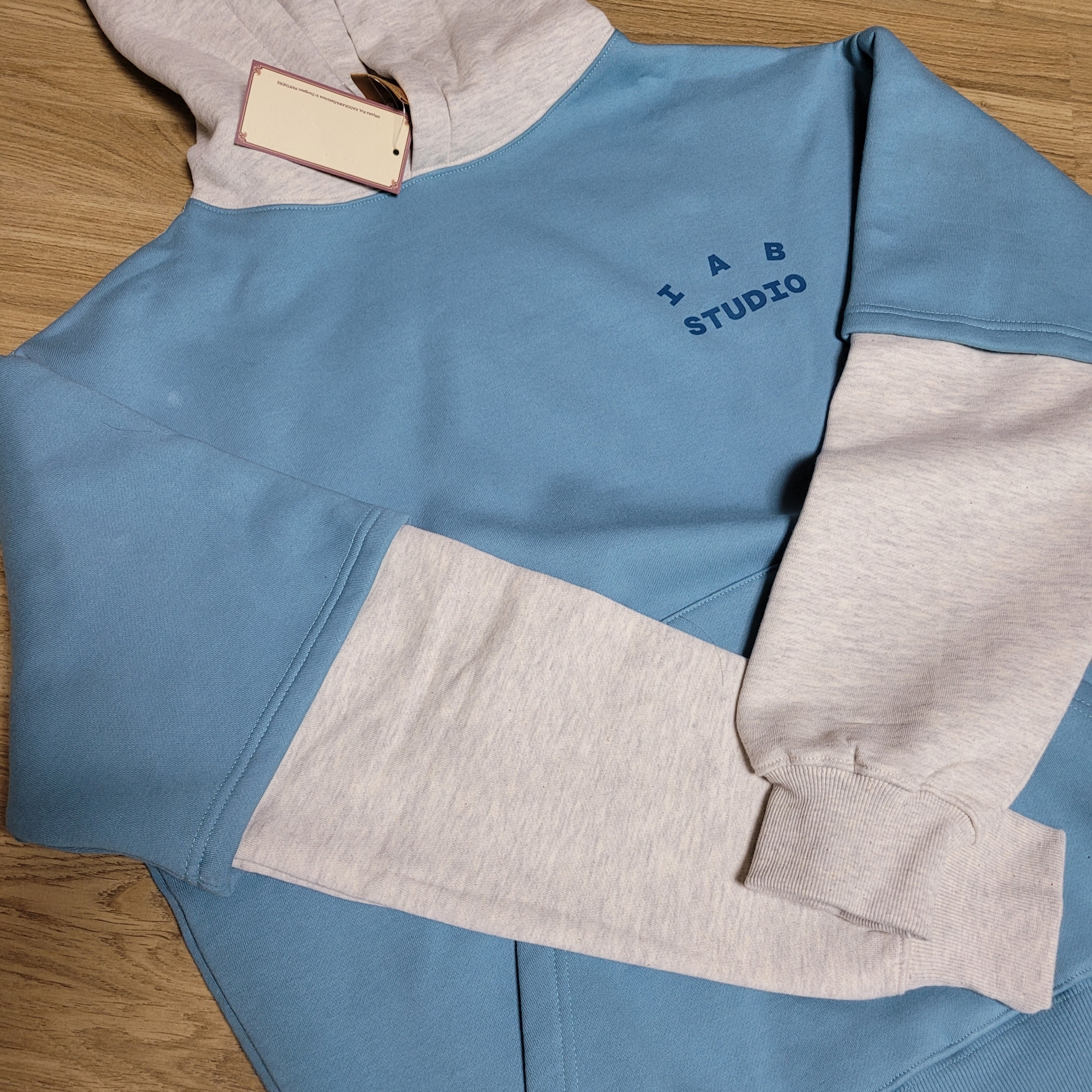 IAB Studio x Delicious in Dungeon Marcille Layerd Hoodie Blue 착용 스타일