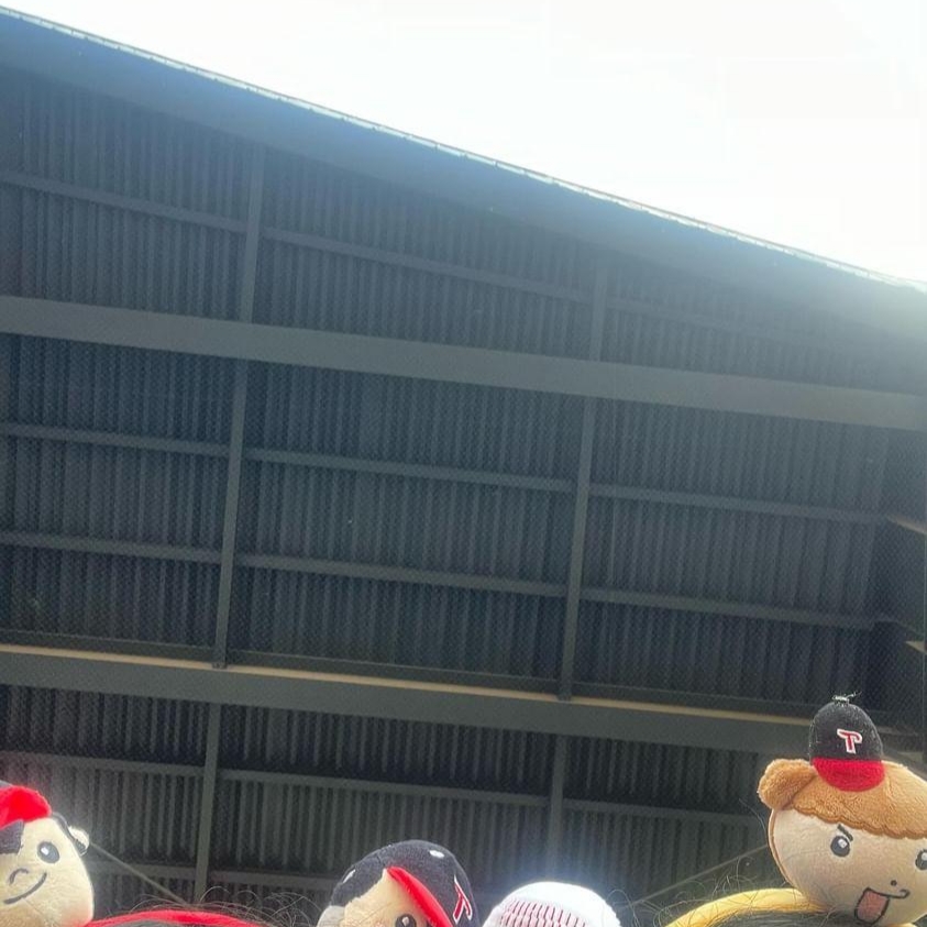 [즉시배송] LG TWINS x Maru is a Puppy Headband 착용 스타일