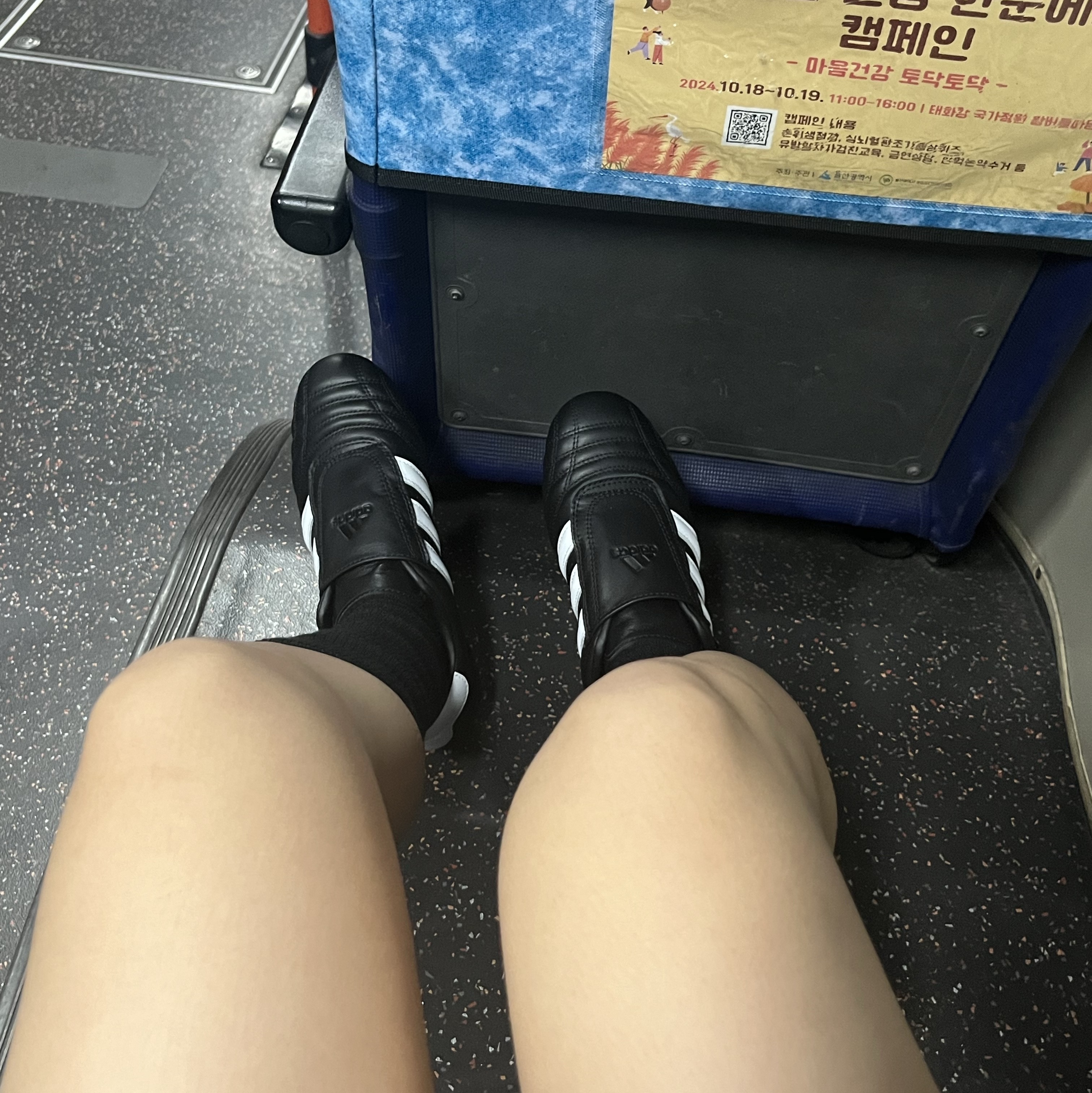 (W) Adidas Taekwondo Core Black Cloud White 착용 스타일