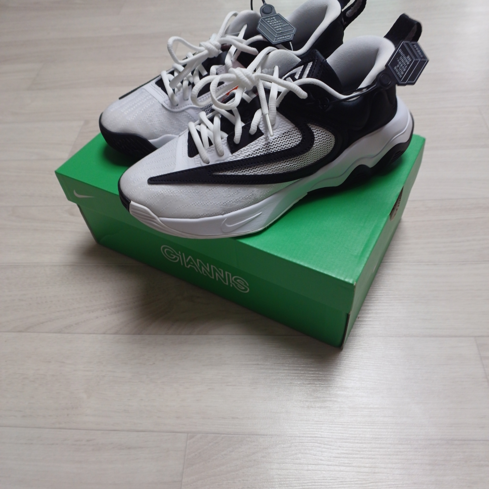 Nike Giannis Immortality 3 EP White Black 착용 스타일 - 1
