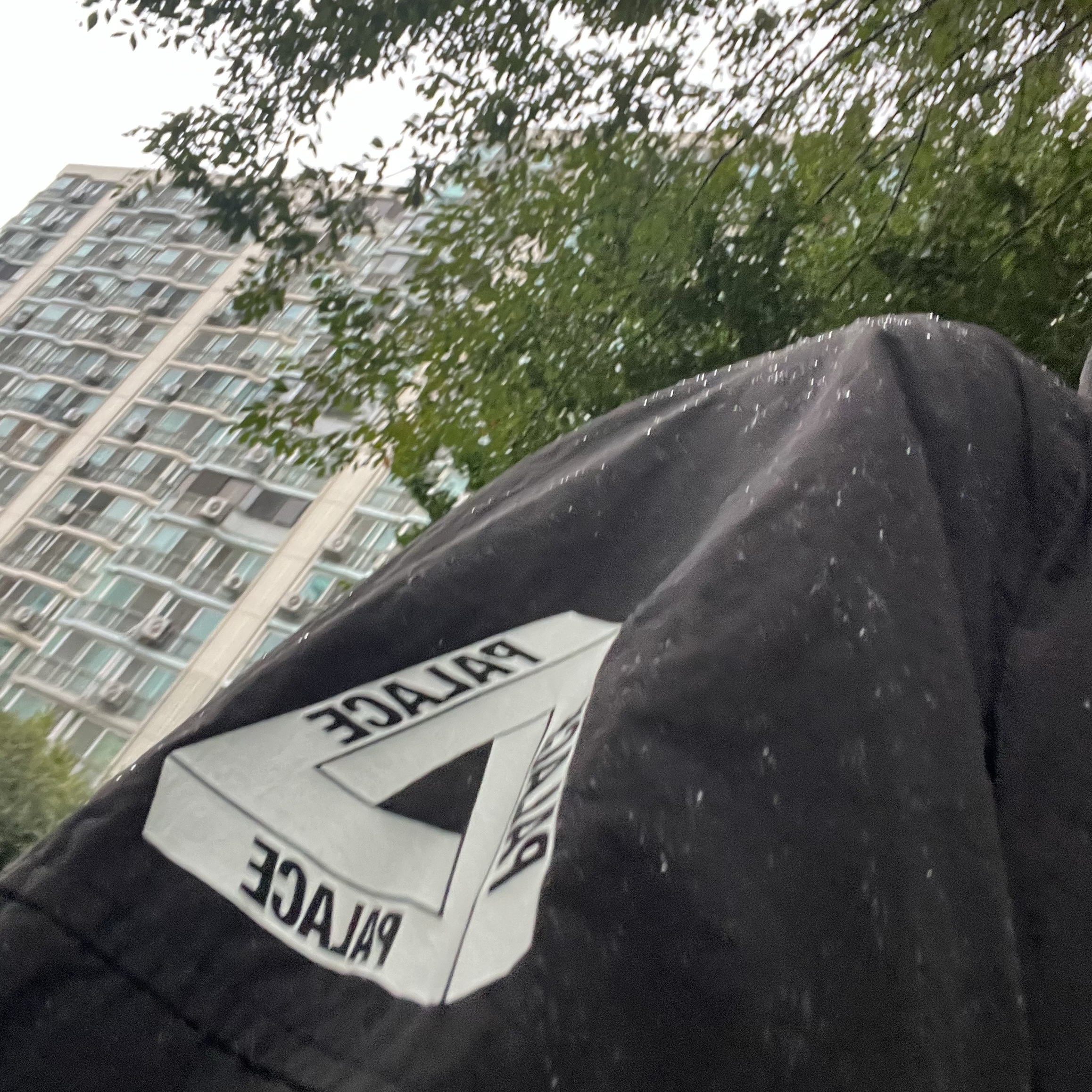 Palace Hooded Sheller Jacket Black - 23FW 착용 스타일
