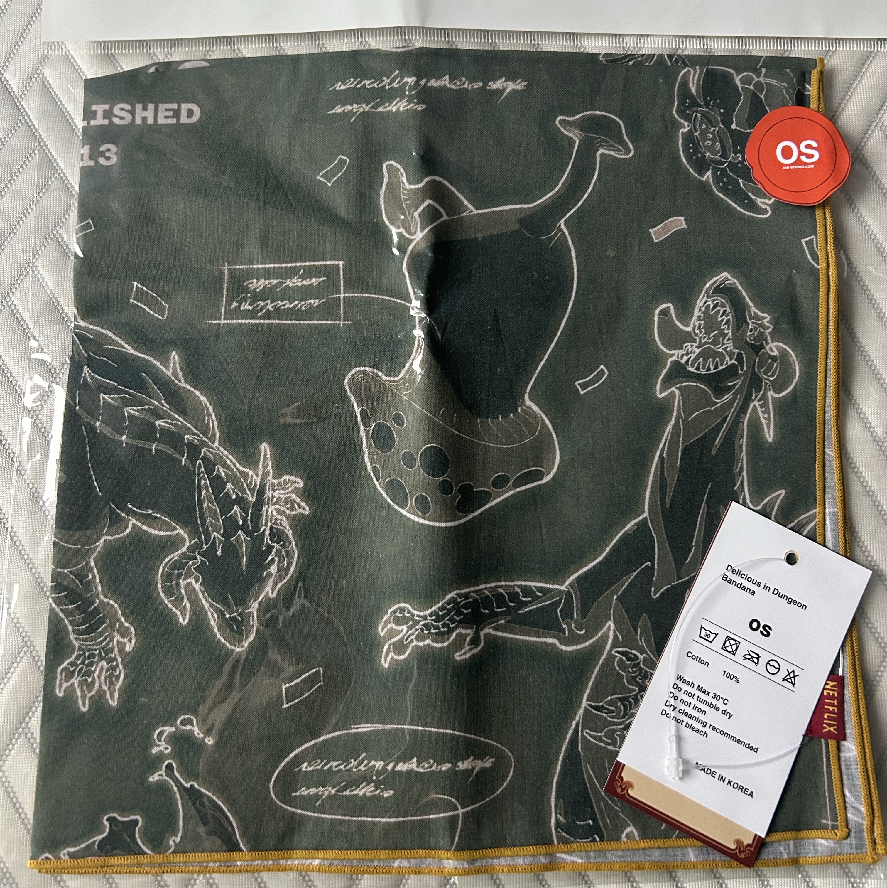 IAB Studio x Delicious in Dungeon Bandana Green 착용 스타일 - 1