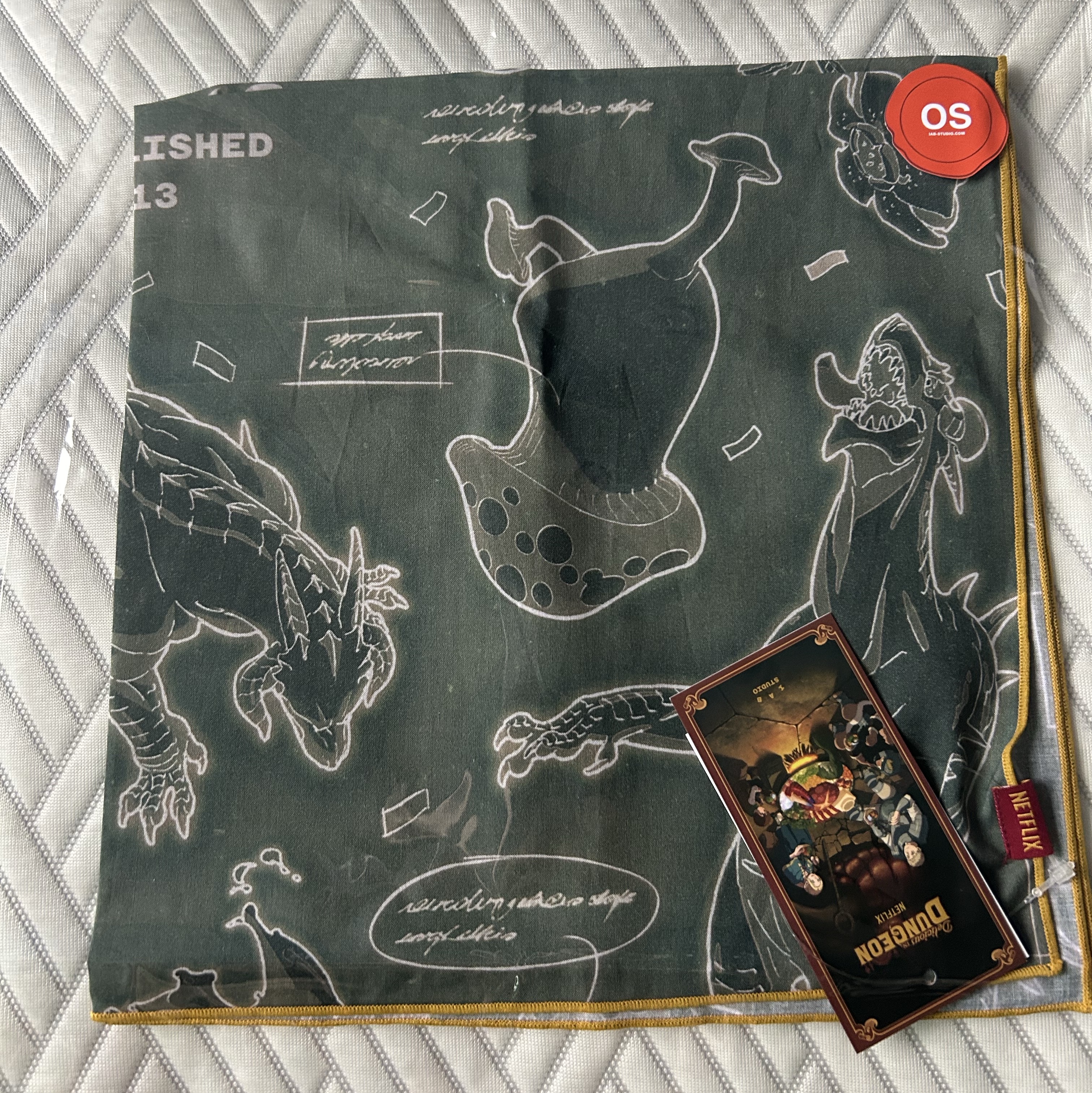 IAB Studio x Delicious in Dungeon Bandana Green 착용 스타일 - 3
