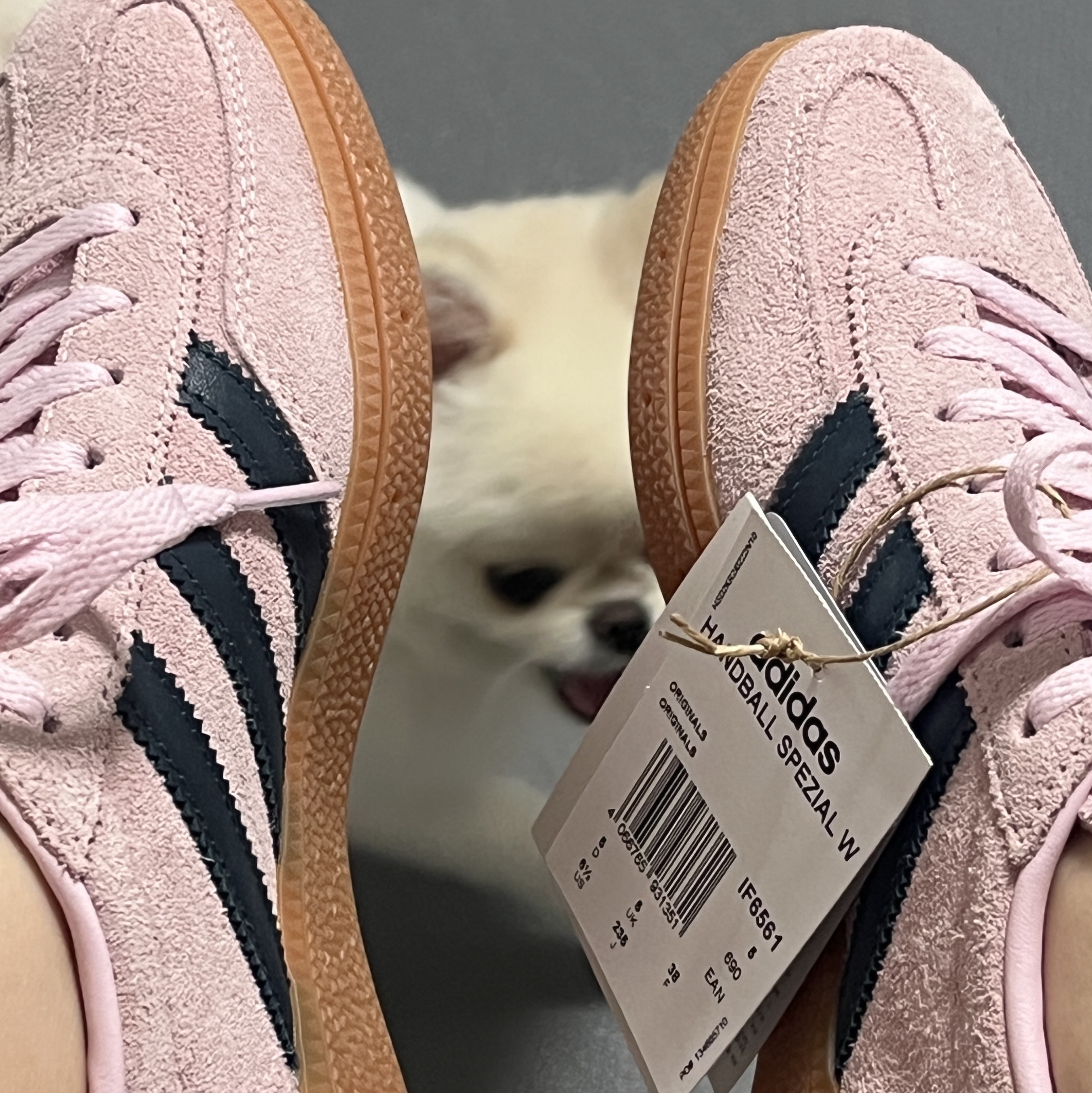 (W) Adidas Spezial Handball Clear Pink 착용 스타일