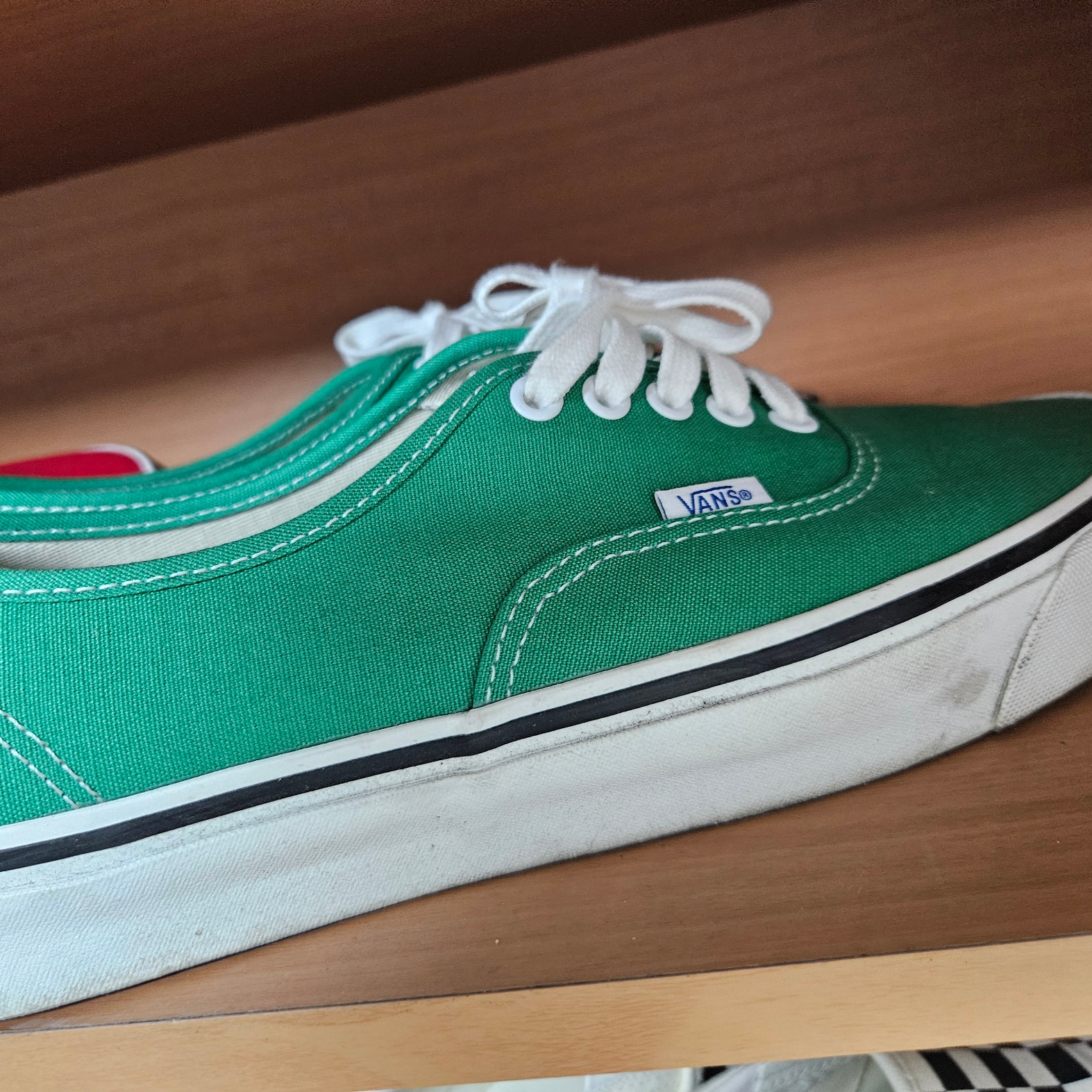 Vans Authentic 44 DX Anaheim Factory Emerald Green 착용 스타일