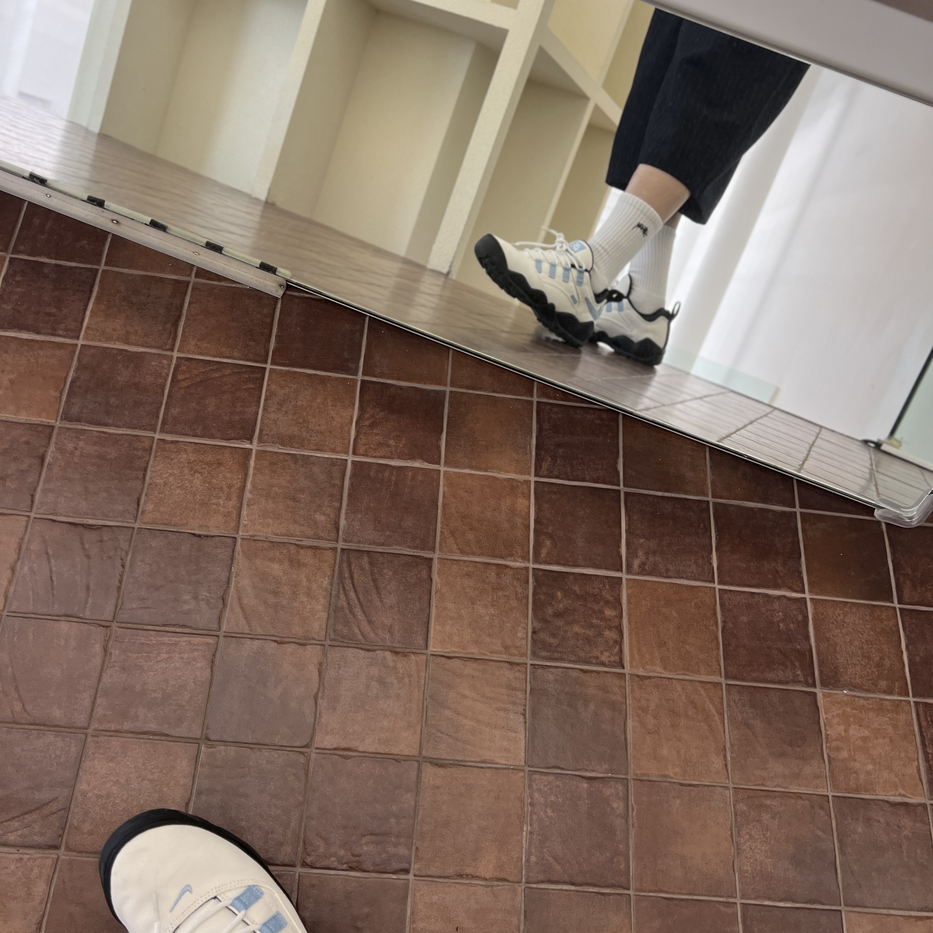 Nike x Supreme SB Darwin Low White 착용 스타일