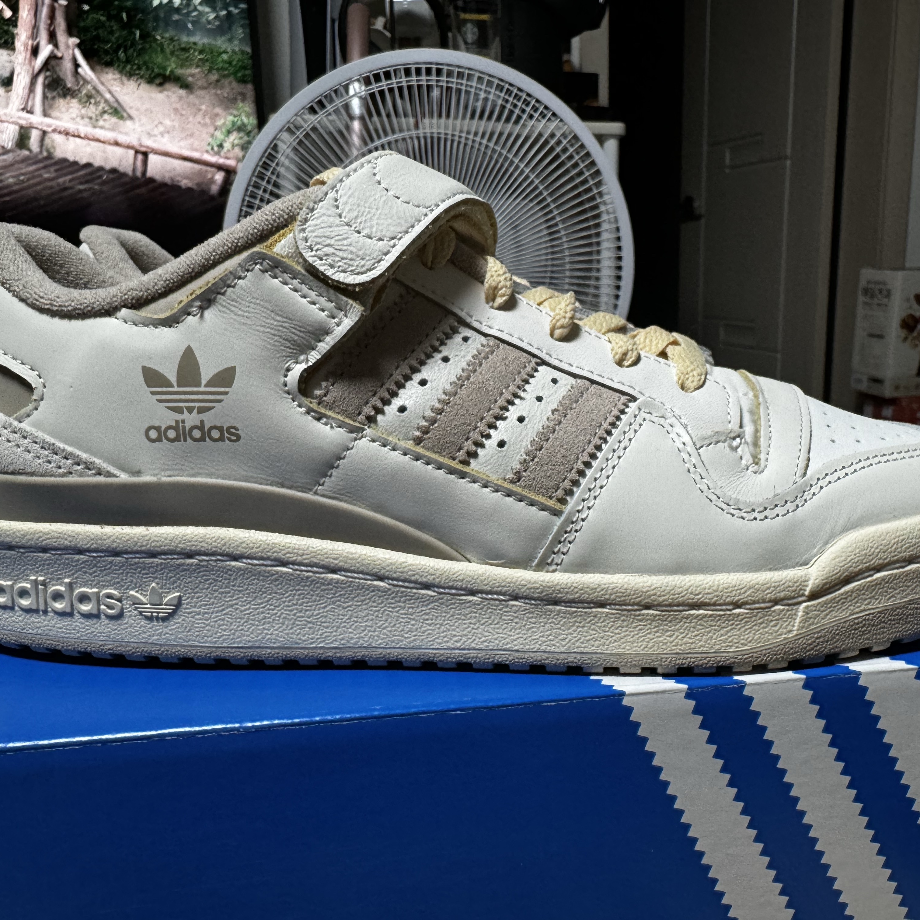 Adidas Forum 84 Low Off White Wonder Beige 착용 스타일 - 3
