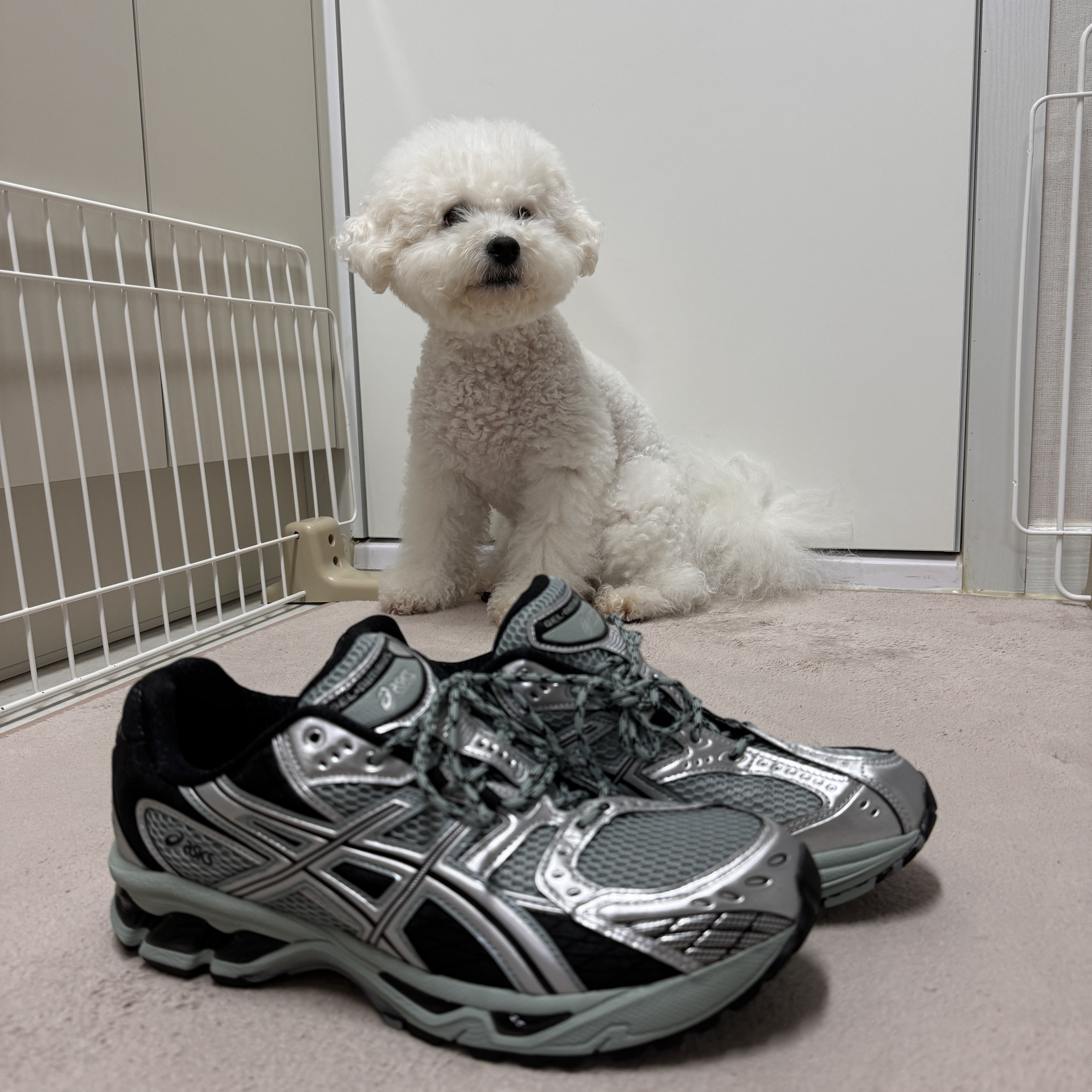 Asics Gel-Nimbus 10.1 Ocean Haze Pure Silver 착용 스타일