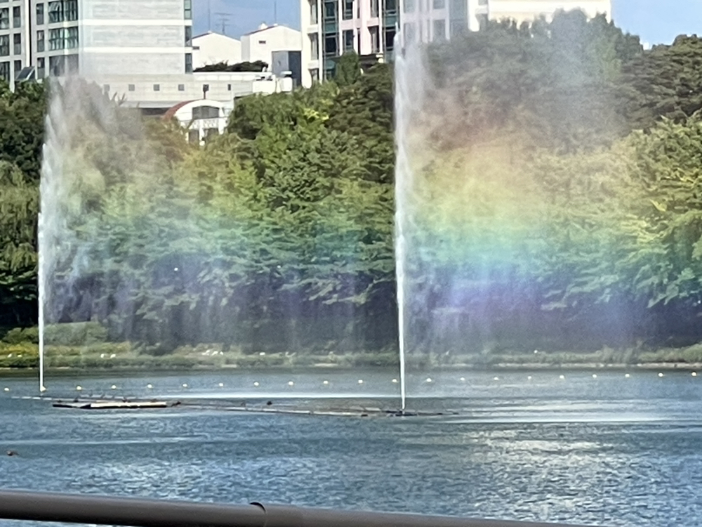 관심 유저 프로필 이미지