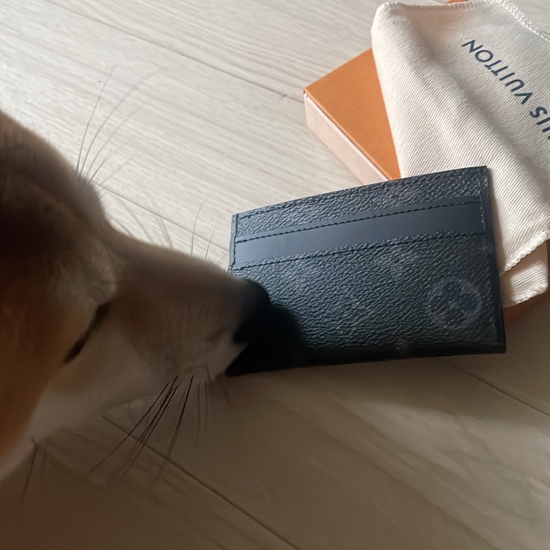 Louis Vuitton Double Card Holder Monogram Eclipse 착용 스타일
