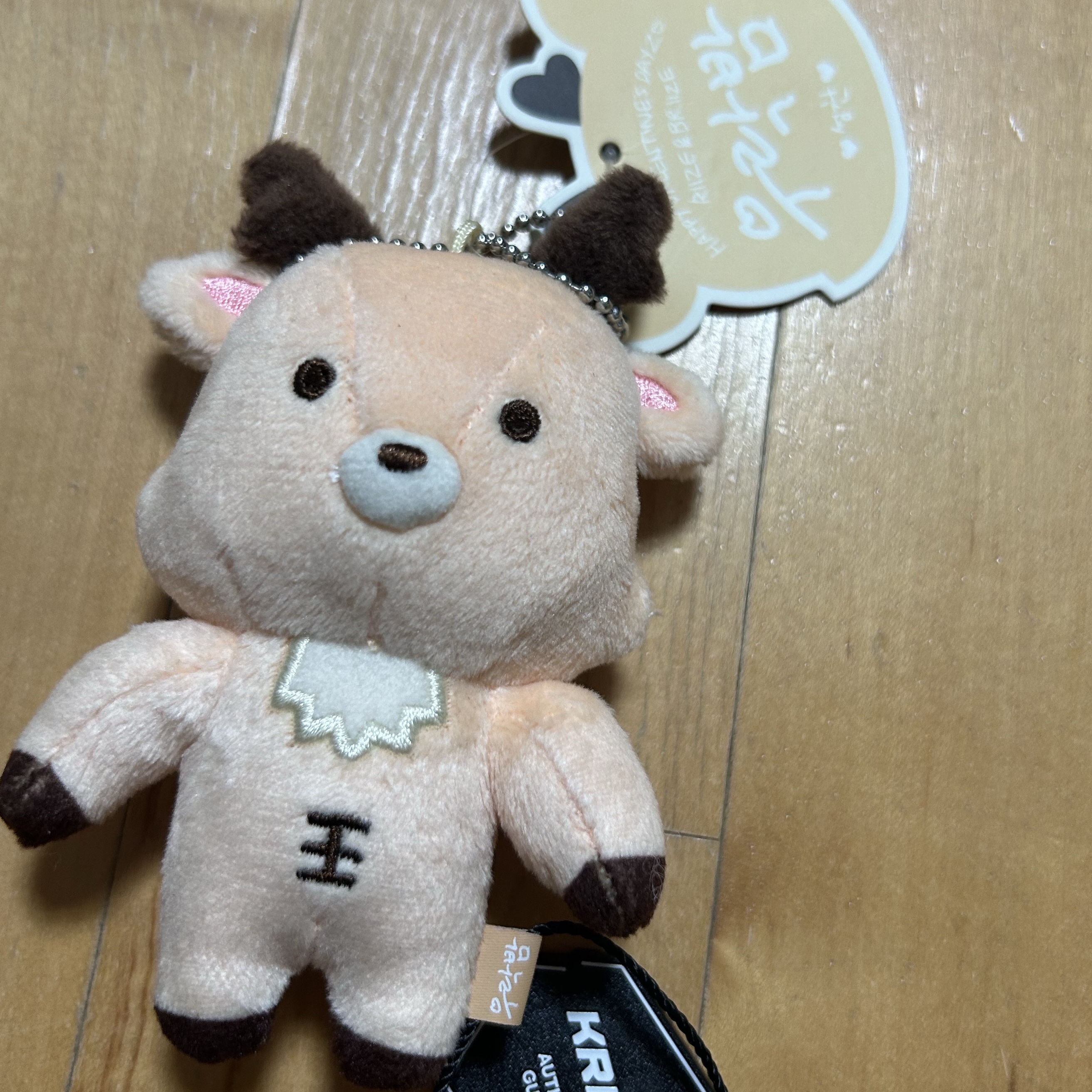 Riize Valentines Dayze 10cm Doll Keyring Sungchan 착용 스타일