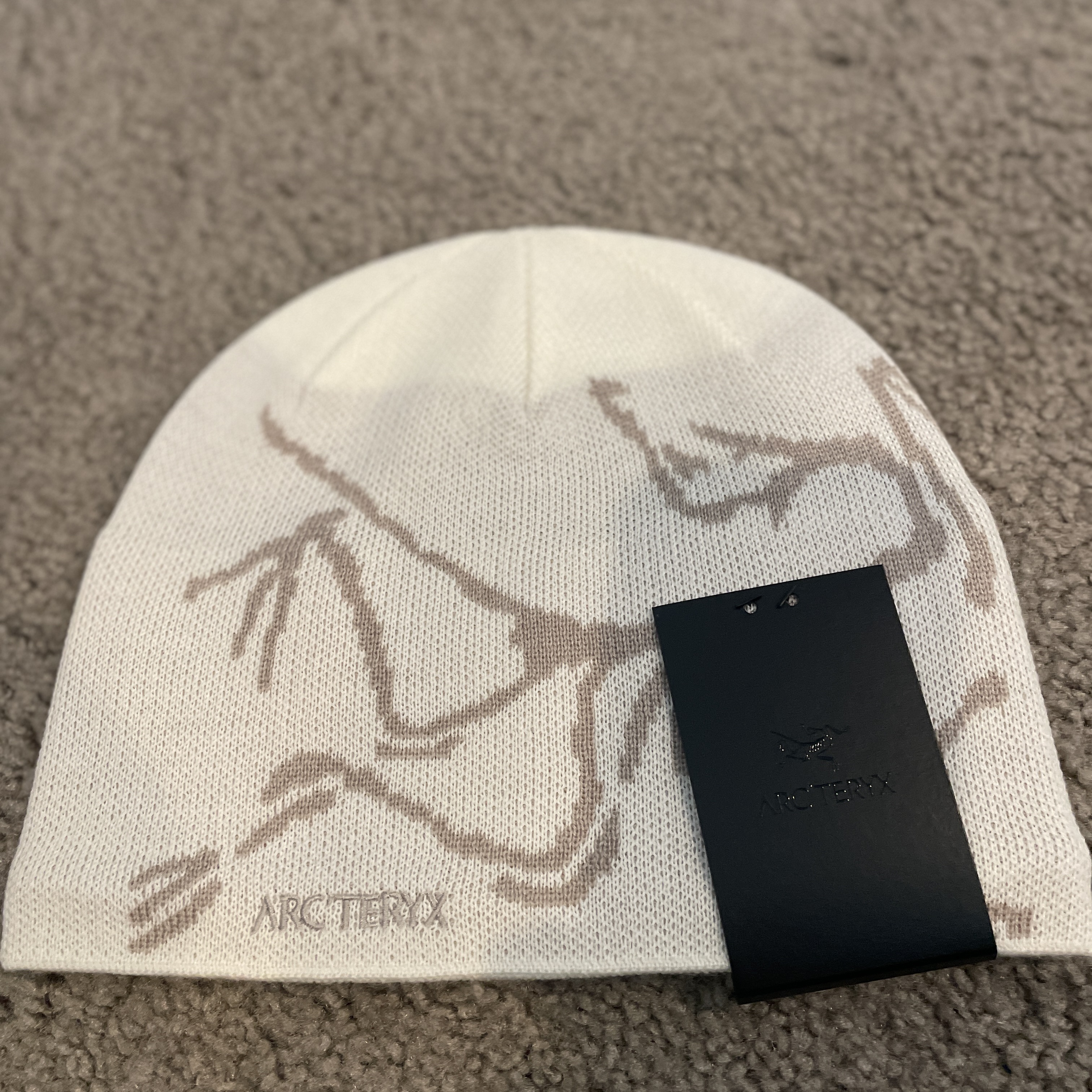 Arc'teryx Bird Head Toque Rune 착용 스타일 - 1