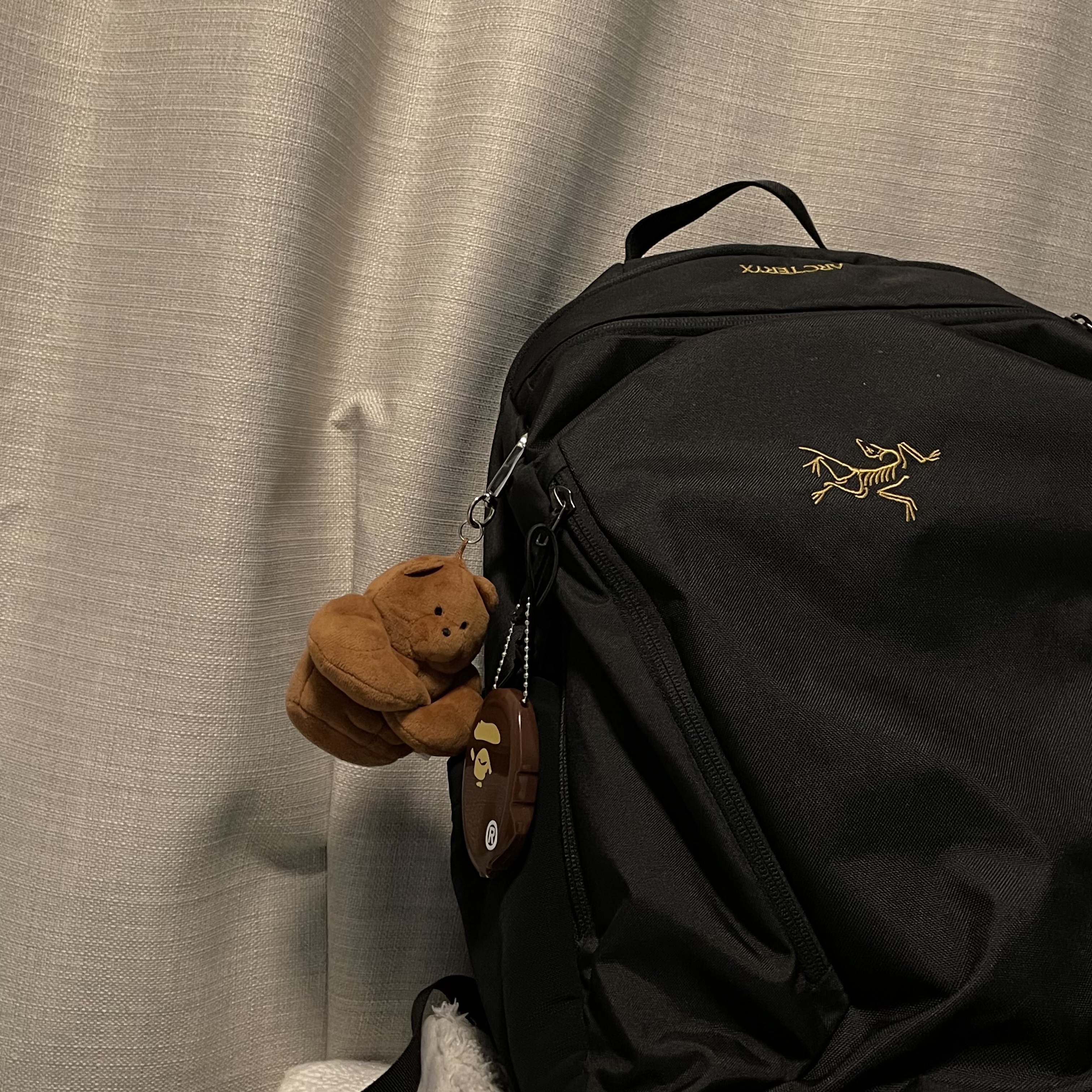 BAPE Ape Head Coin Case M Brown, Arc'teryx Mantis 26 Backpack Black 착용 스타일 - 2