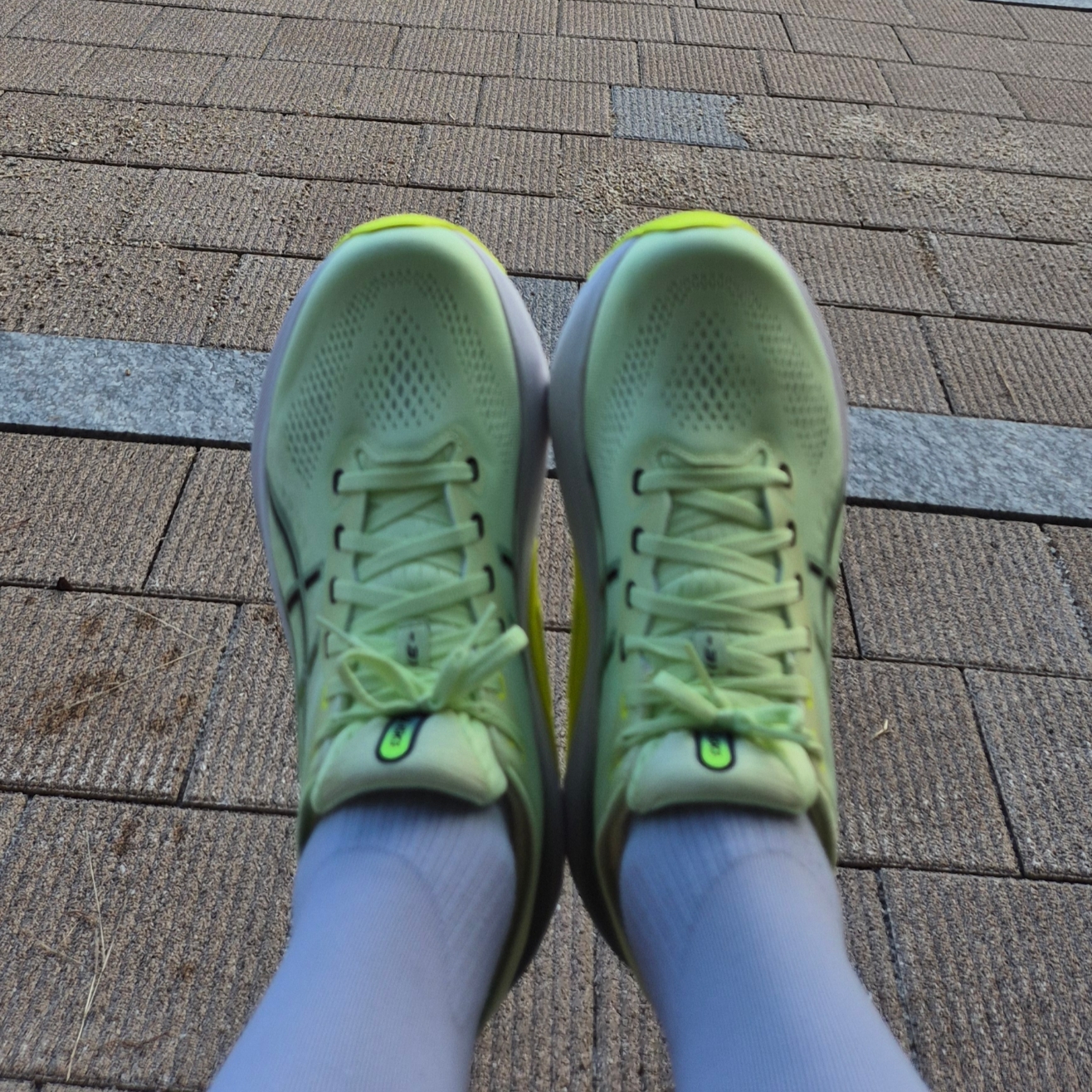 Asics Gel-Kayano 31 Cool Matcha Celadon - 4E Extra Wide 착용 스타일 - 1