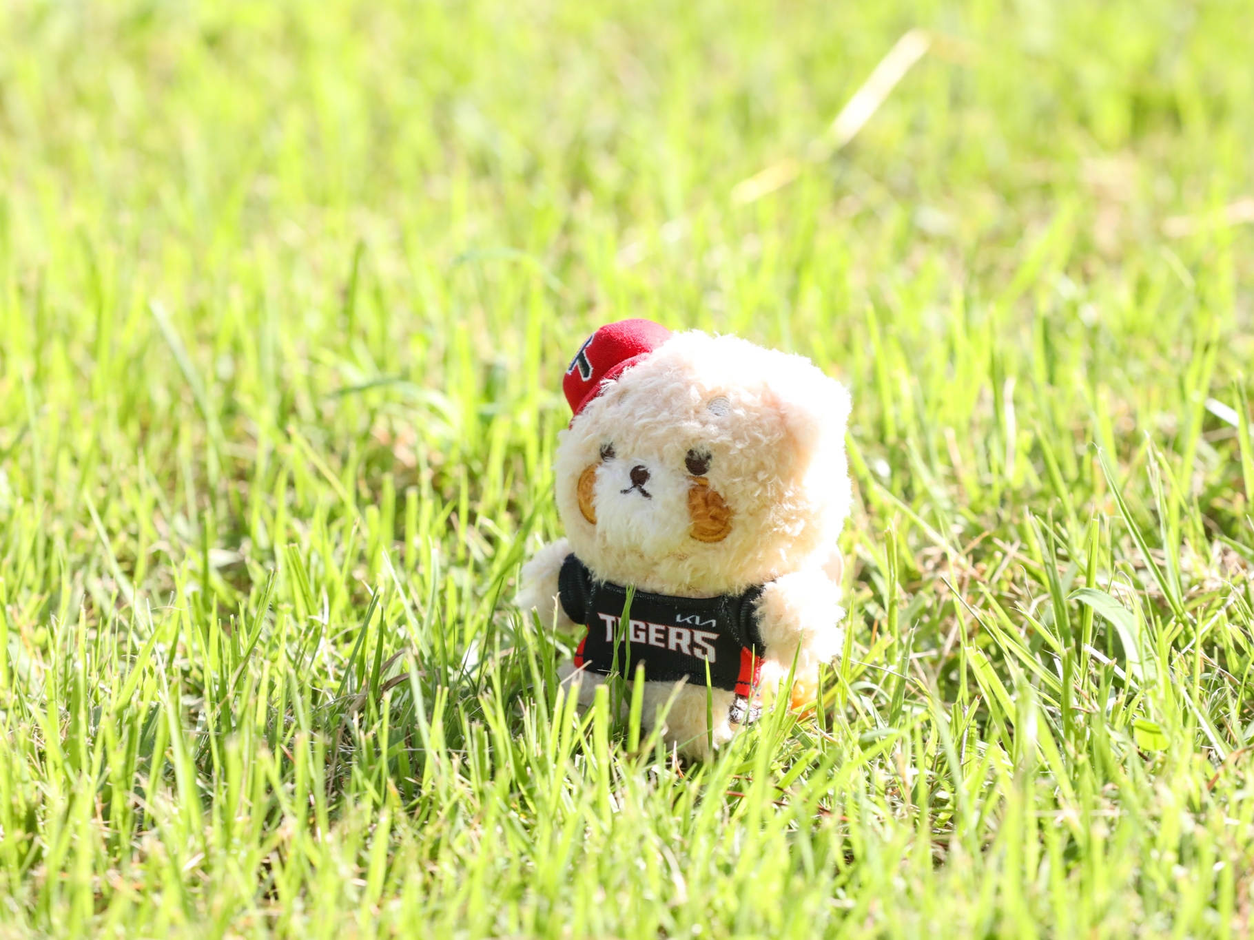 Lessey & Friends x KBO The Strongest Lessey Stuffed Toy Keyring KIA Tigers 착용 스타일
