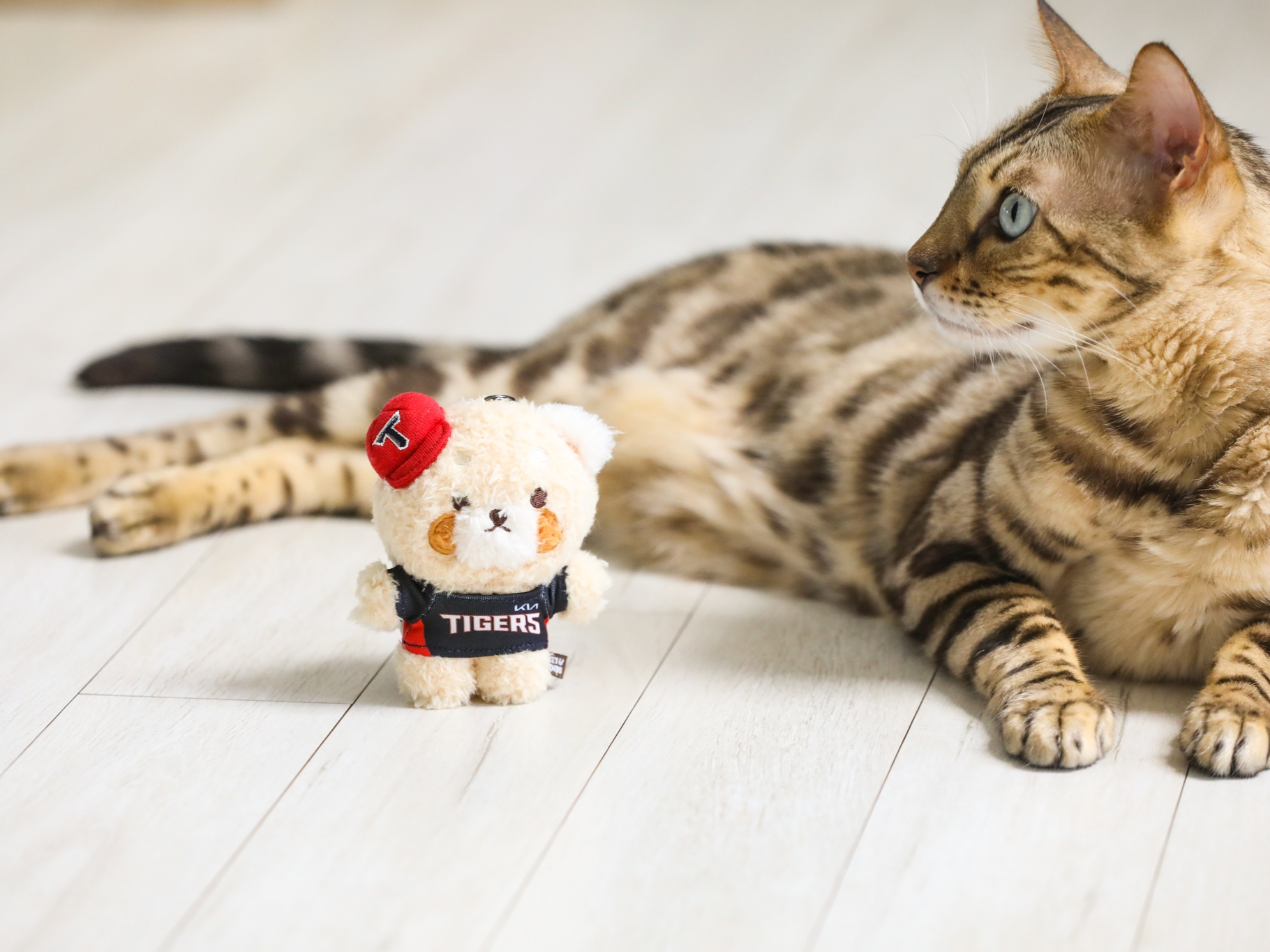 Lessey & Friends x KBO The Strongest Lessey Stuffed Toy Keyring KIA Tigers 착용 스타일