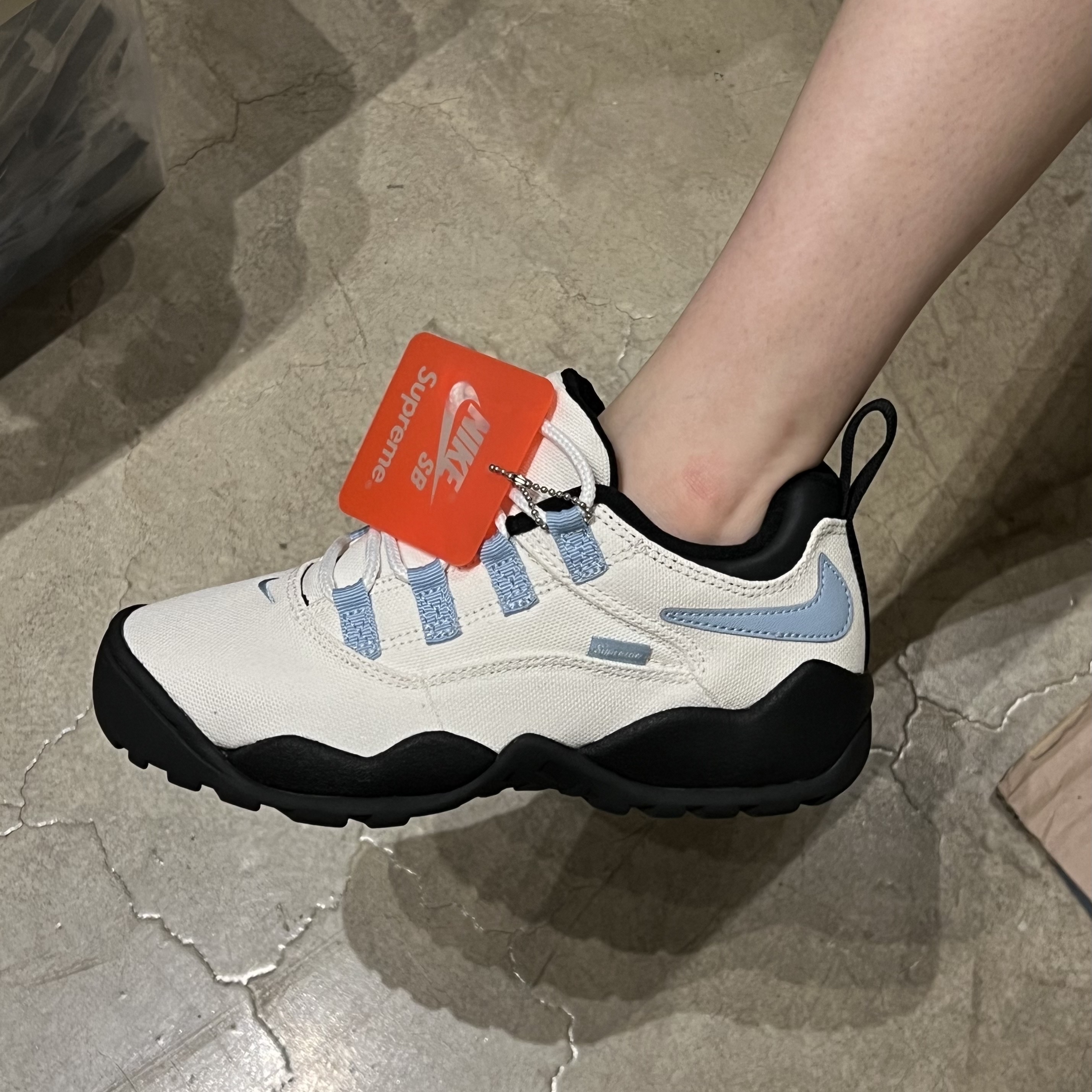 Nike x Supreme SB Darwin Low White 착용 스타일