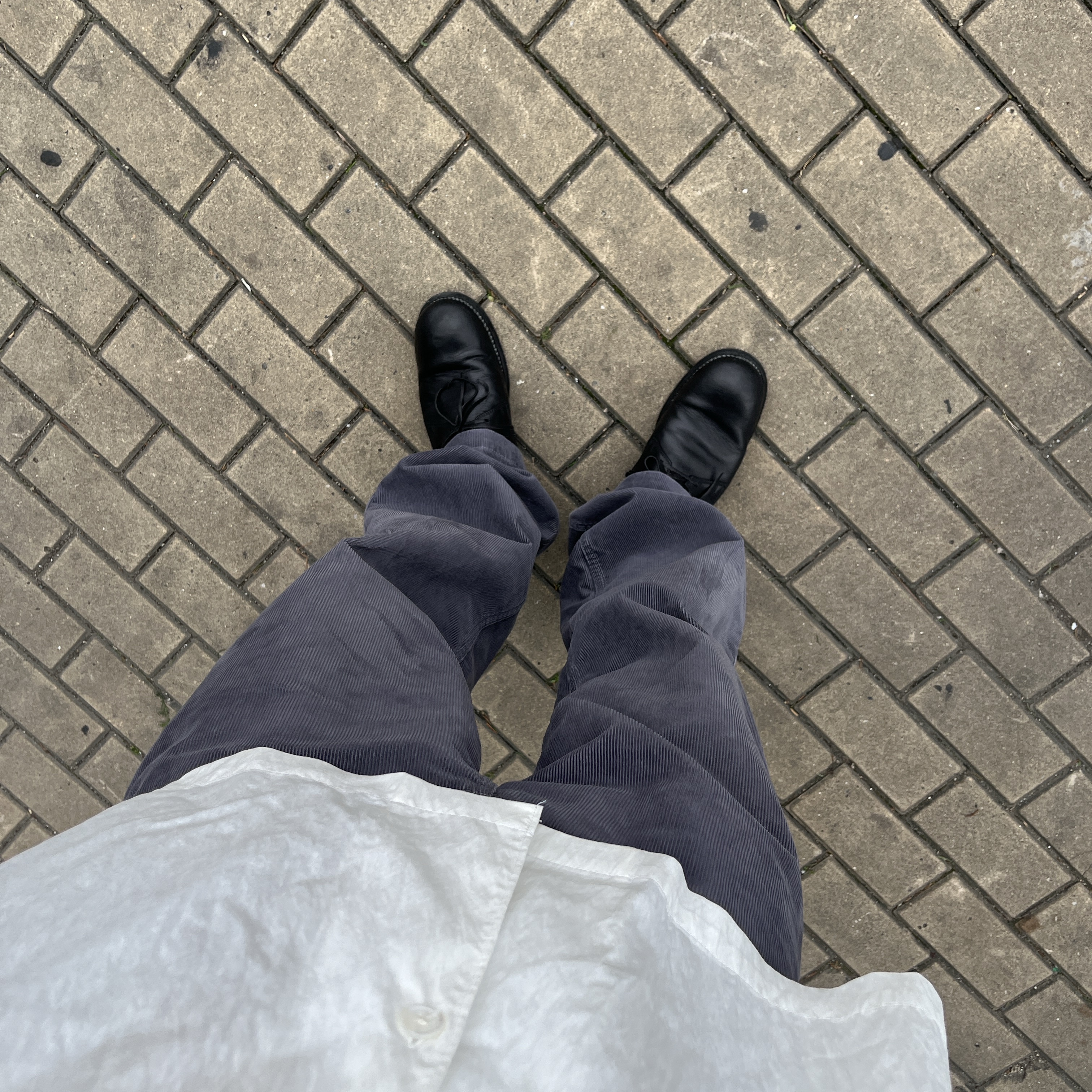 Guidi 992X Horse Full Grain Leather Derby Black 착용 스타일 - 1