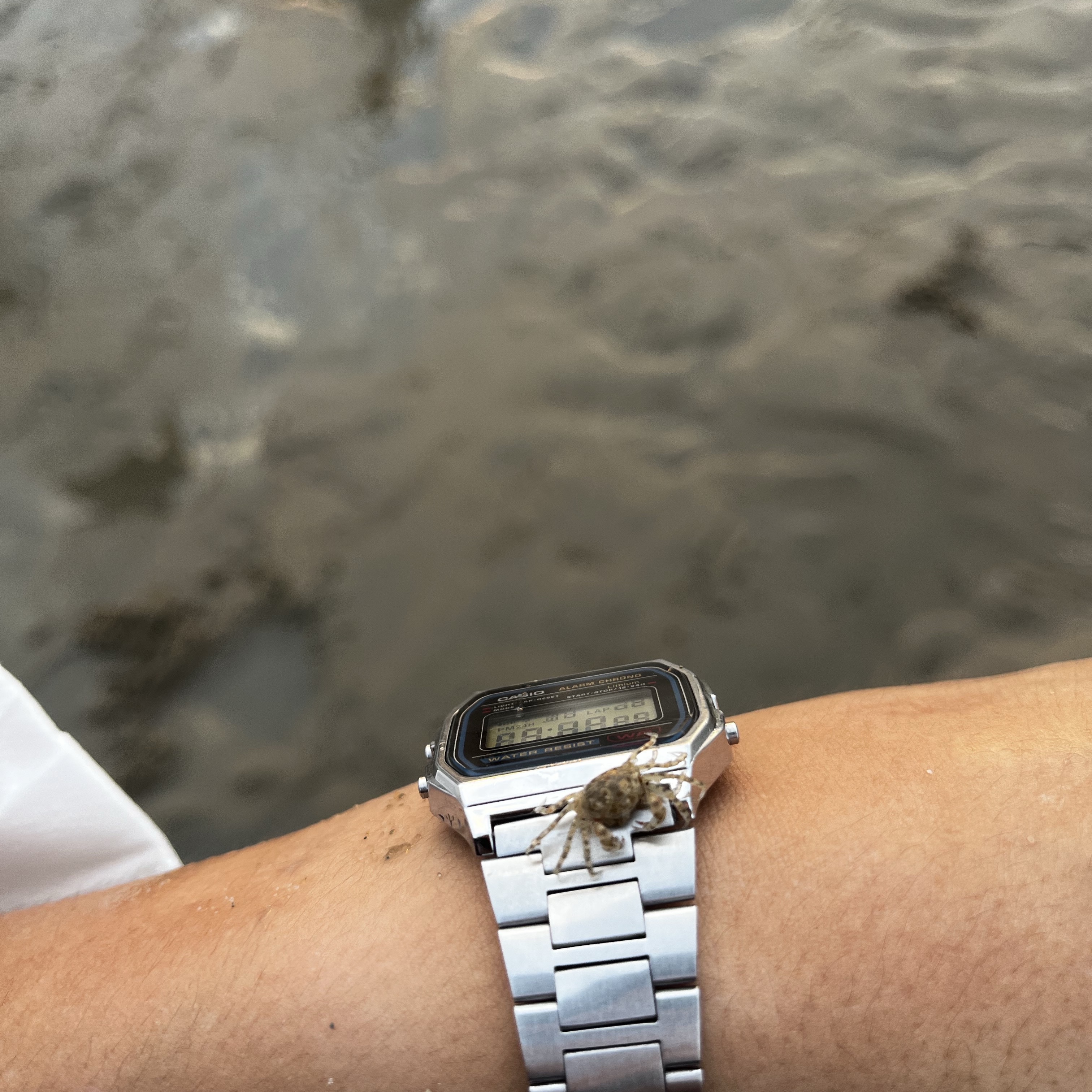 Casio A-158WA-1 착용 스타일