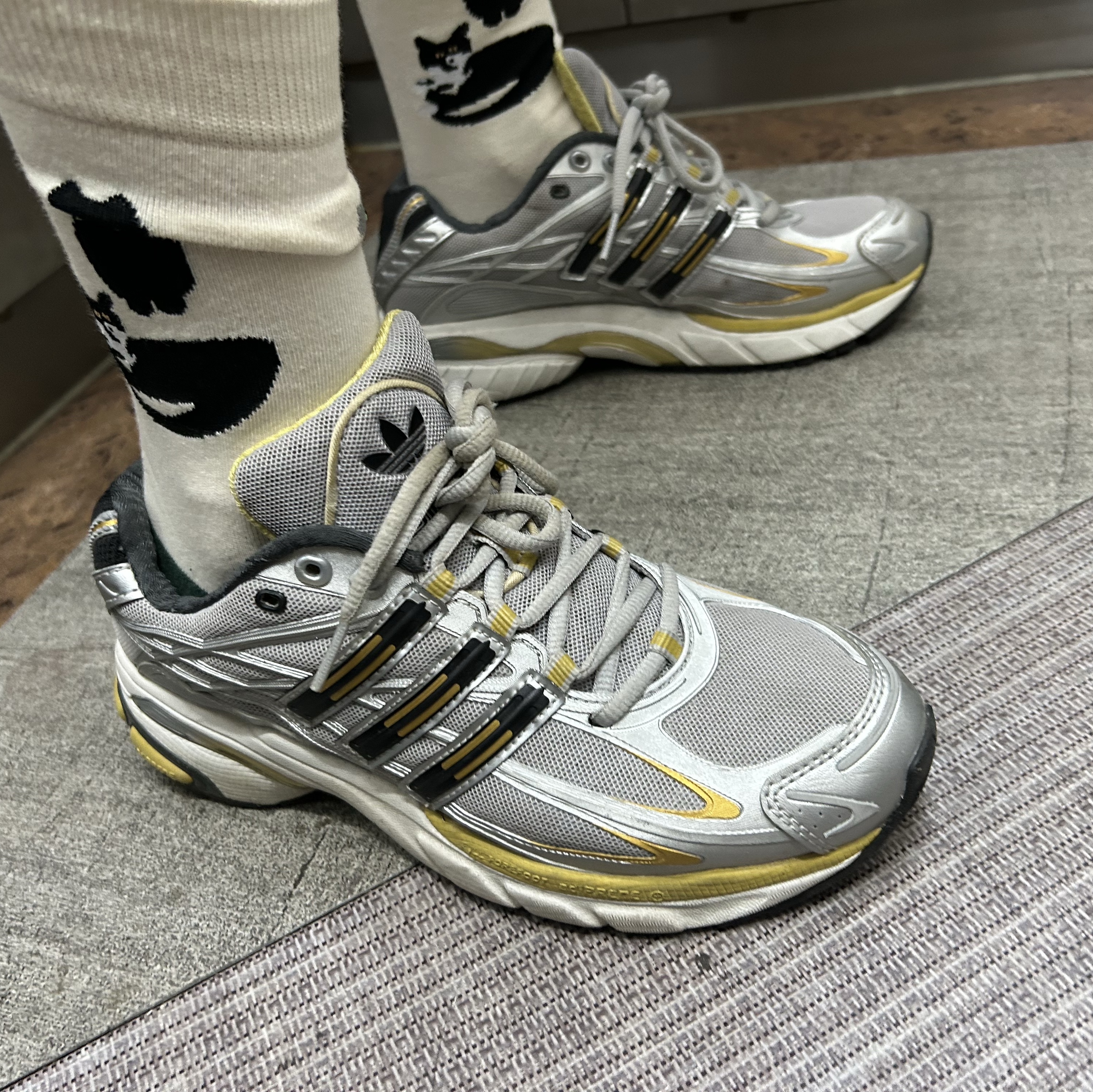 Adidas Adistar Cushion 3 Grey Two Gold Metallic 착용 스타일