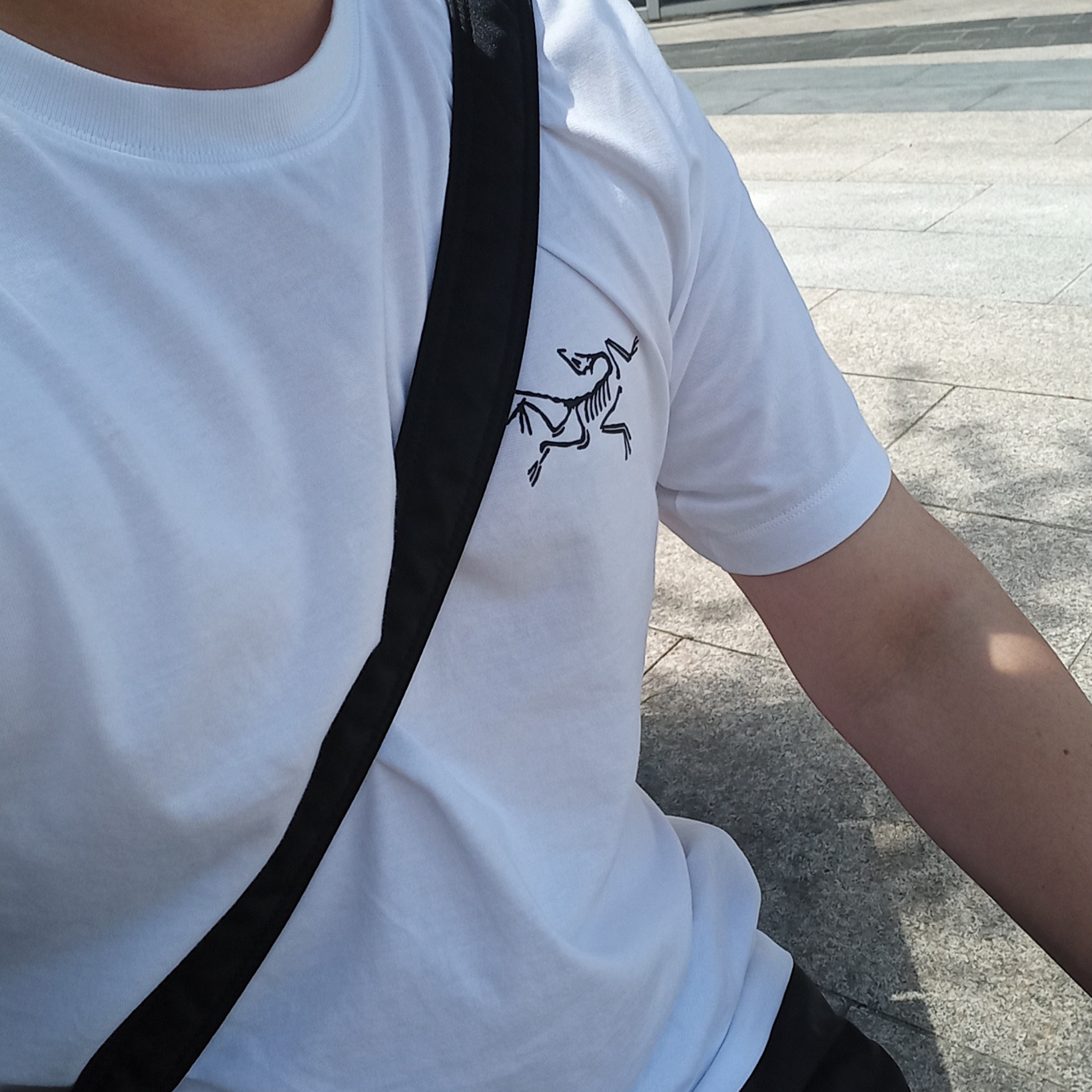 Arc'teryx Arc'Multi Bird Logo SS T-Shirt White Light 착용 스타일 - 2