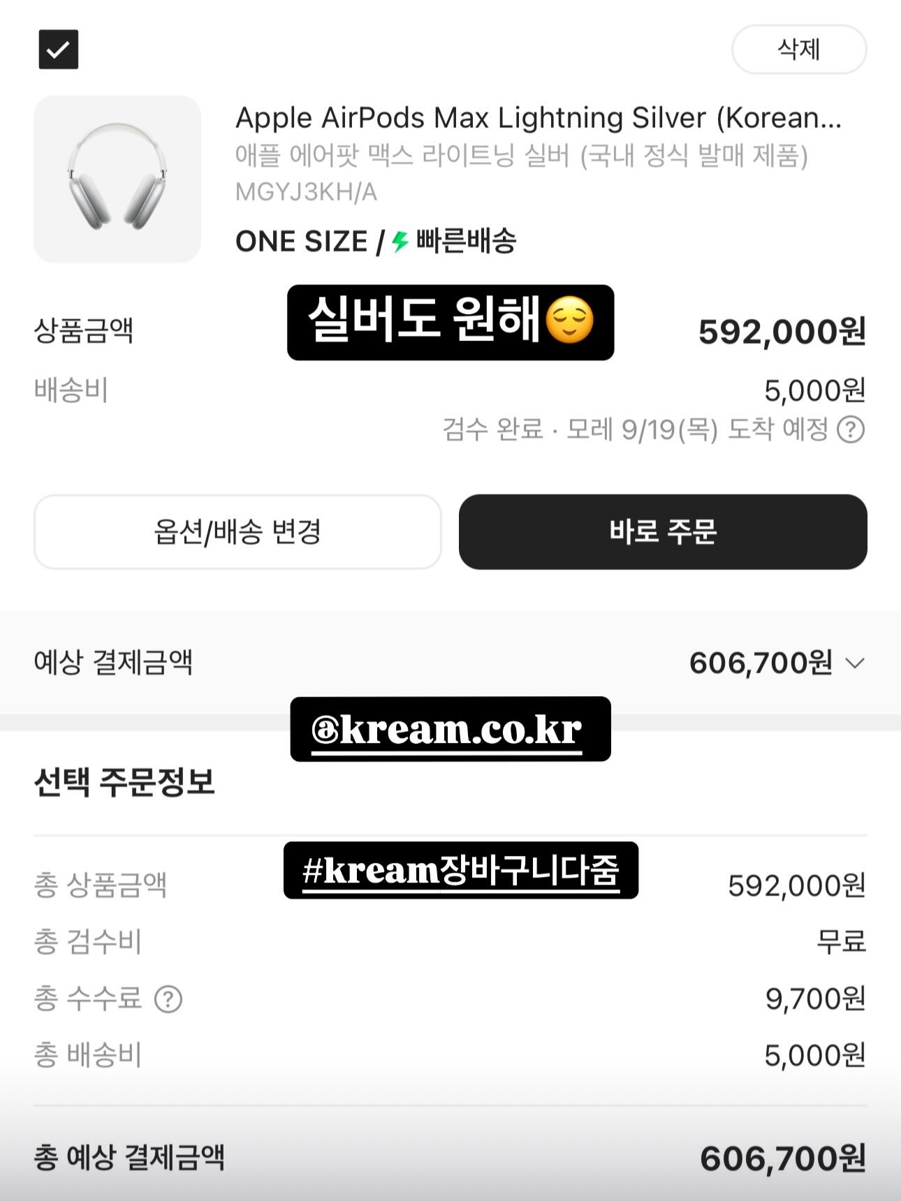 Apple AirPods Max Lightning Silver (Korean Ver.) 착용 스타일