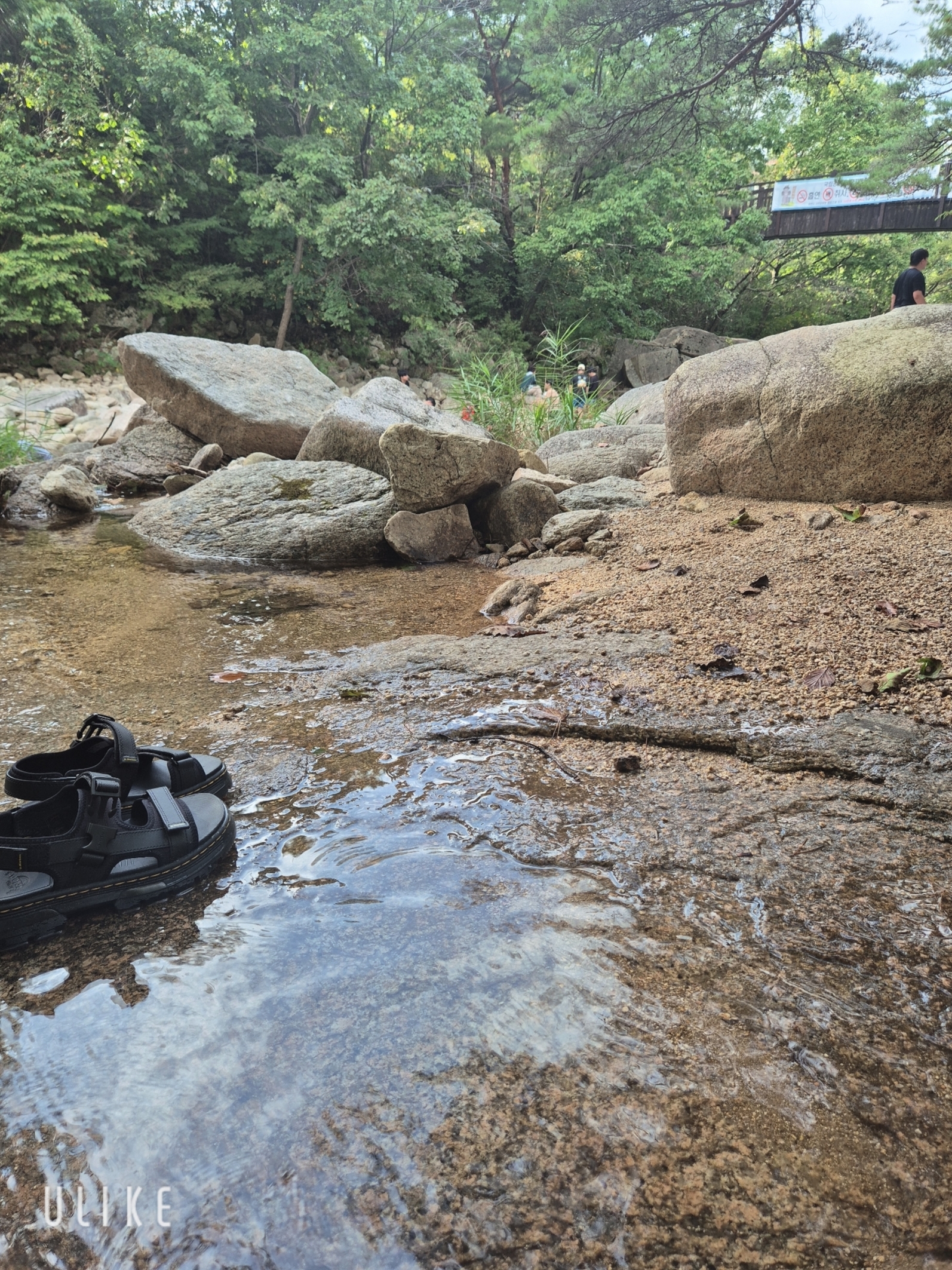 Dr. Martens Forster Poly Webbing Sandals Black 착용 스타일