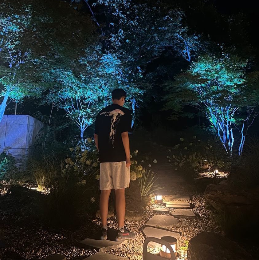 Wooyoungmi Luminous Jellyfish Back Logo T-Shirt Black - 24SS, Adidas Yeezy Boost 350 V2 Black Red 2020 착용 스타일