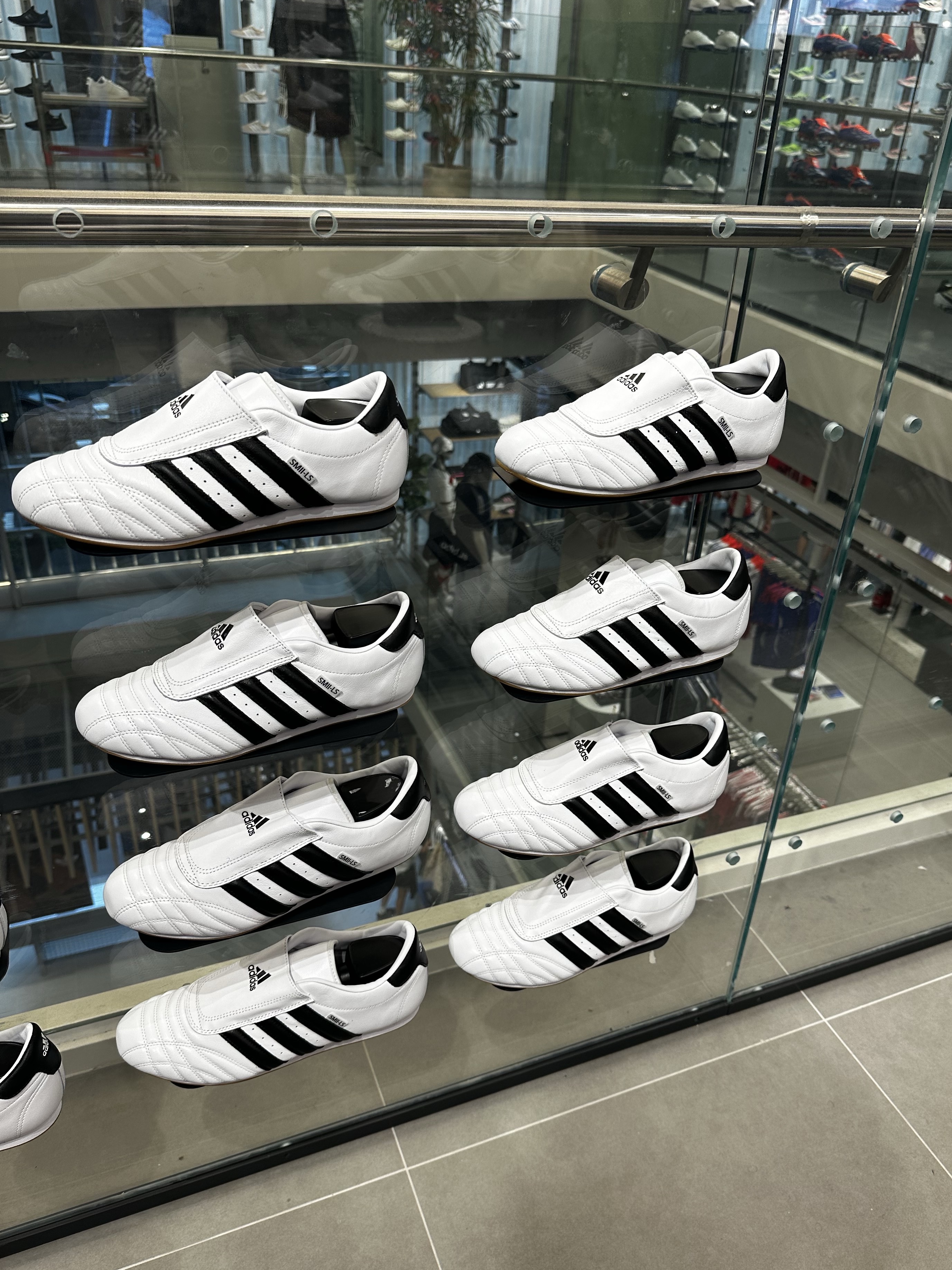 (W) Adidas Taekwondo Cloud White Core Black 착용 스타일 - 2