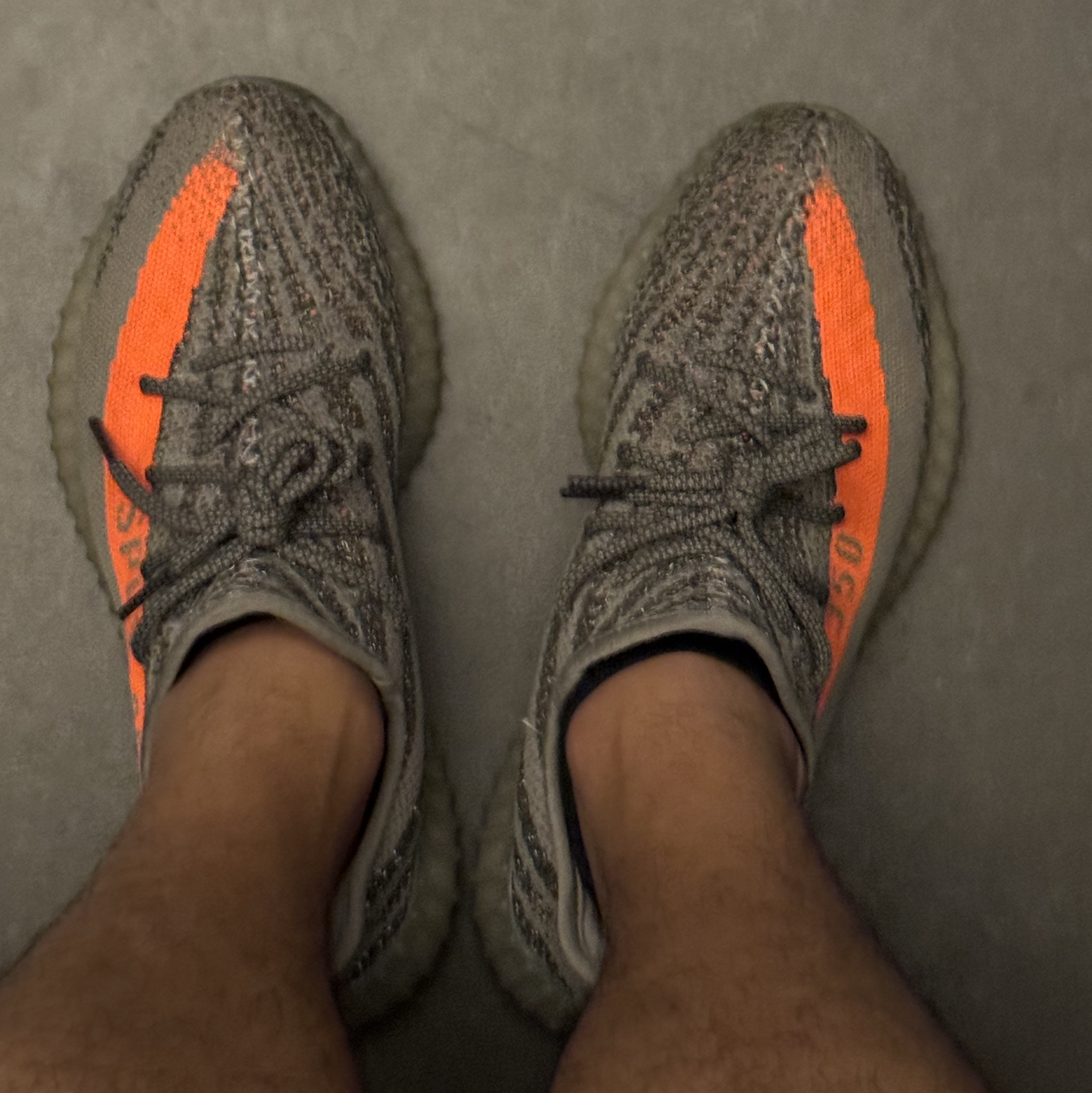 Adidas Yeezy Boost 350 V2 Beluga - Reflective 착용 스타일