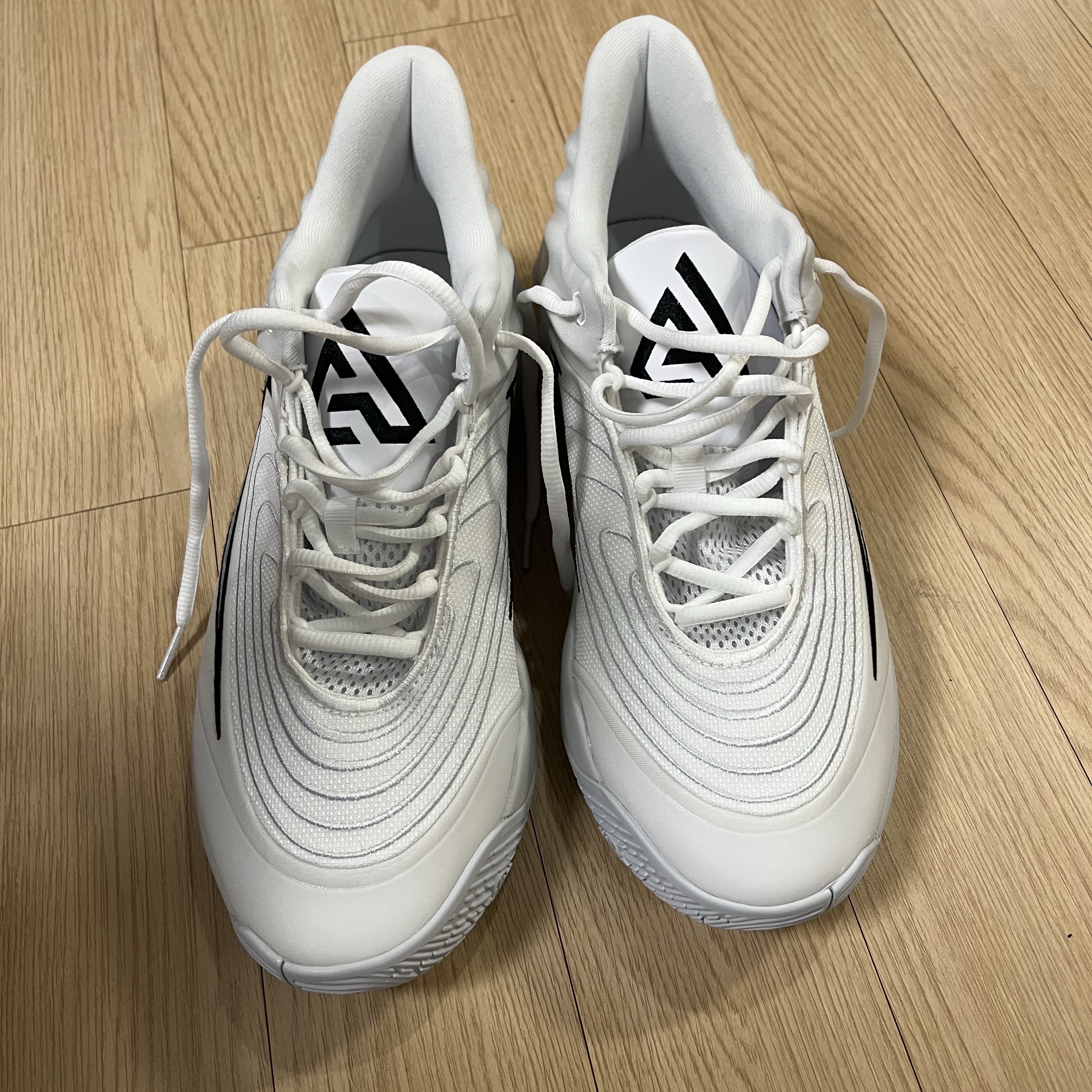 Nike Giannis Immortality 4 EP White 착용 스타일 - 4