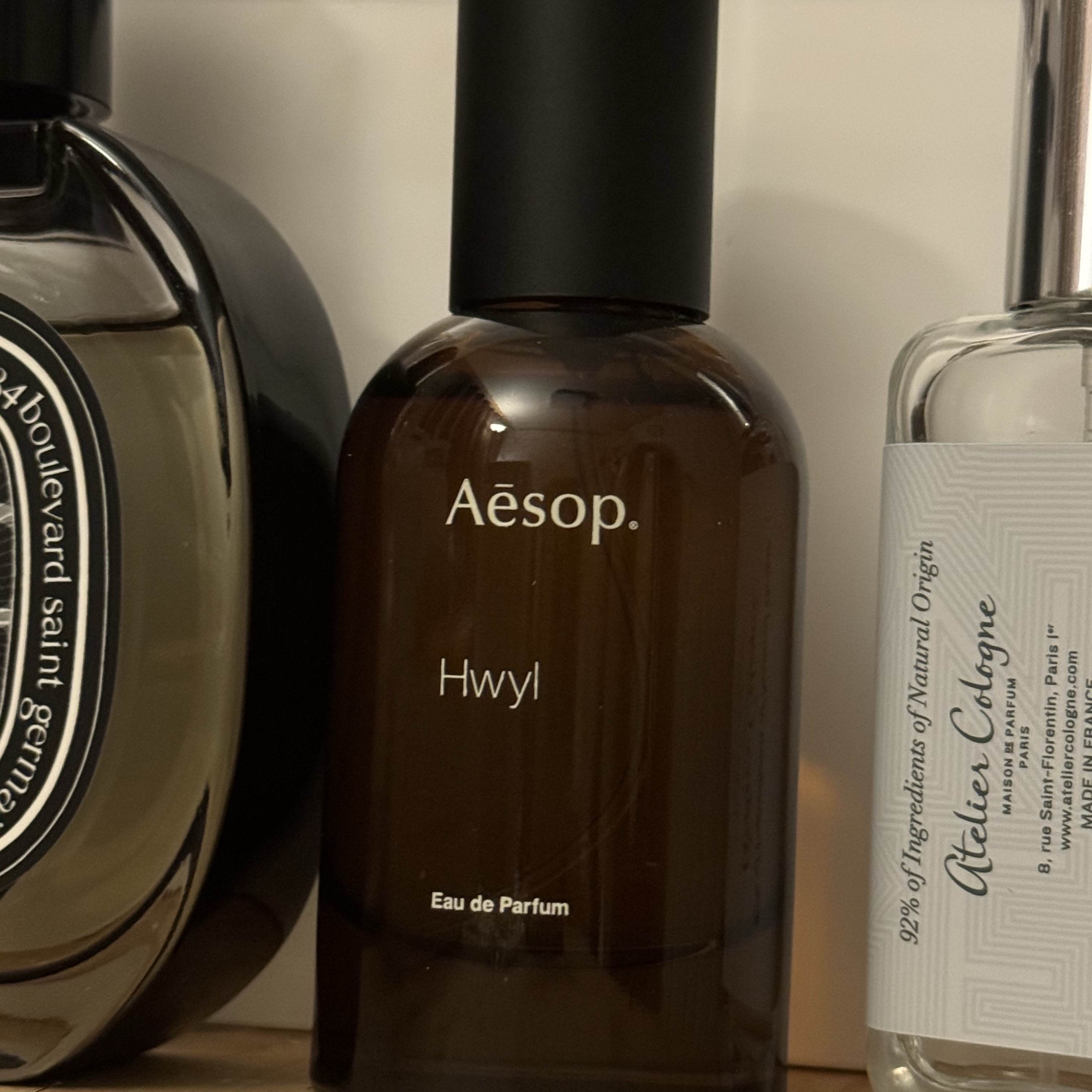 Aesop Hwyl Eau De Parfum 50ml 착용 스타일