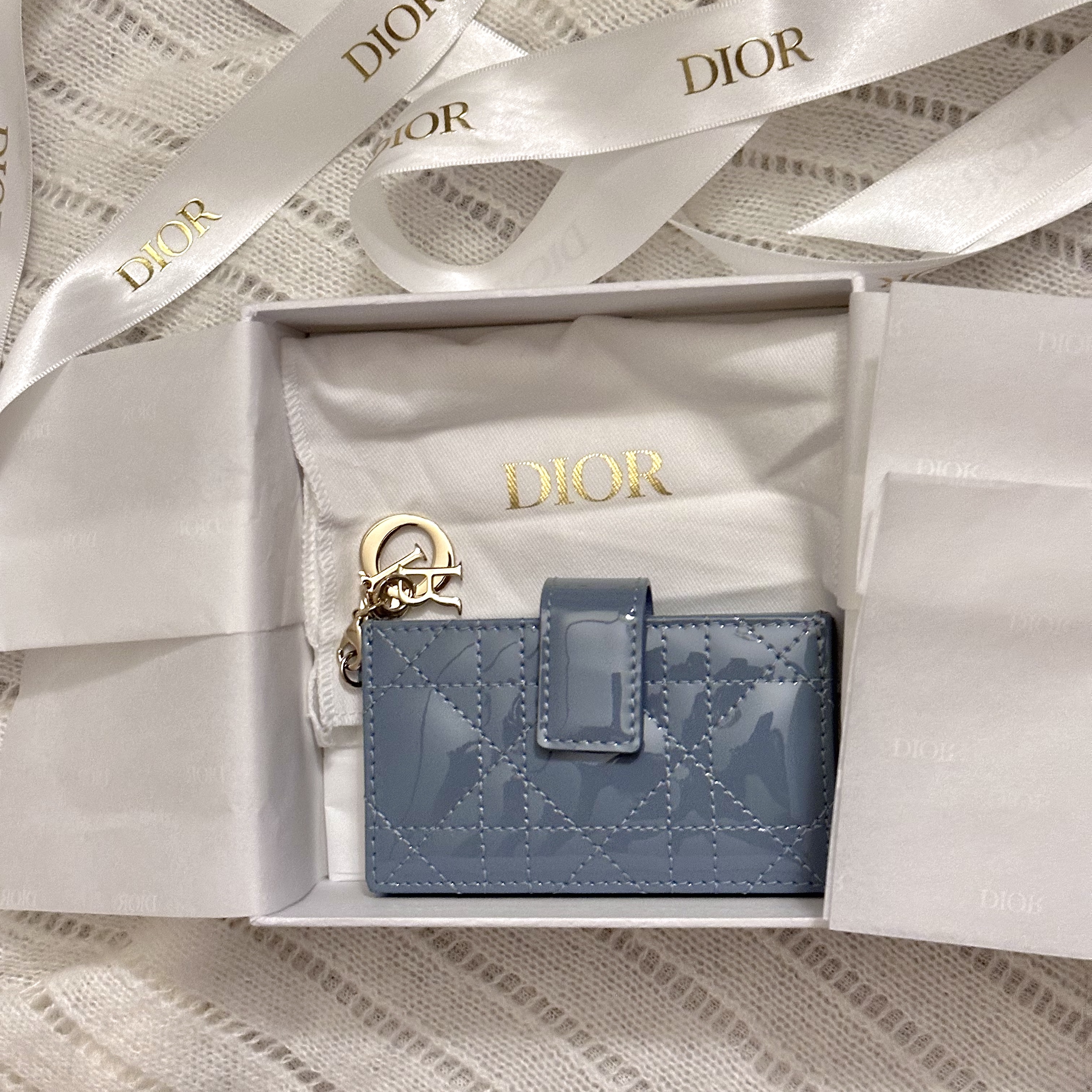 Dior Lady 5-Gusset Card Holder Patent Cannage Calfskin Sky Blue 착용 스타일 - 1