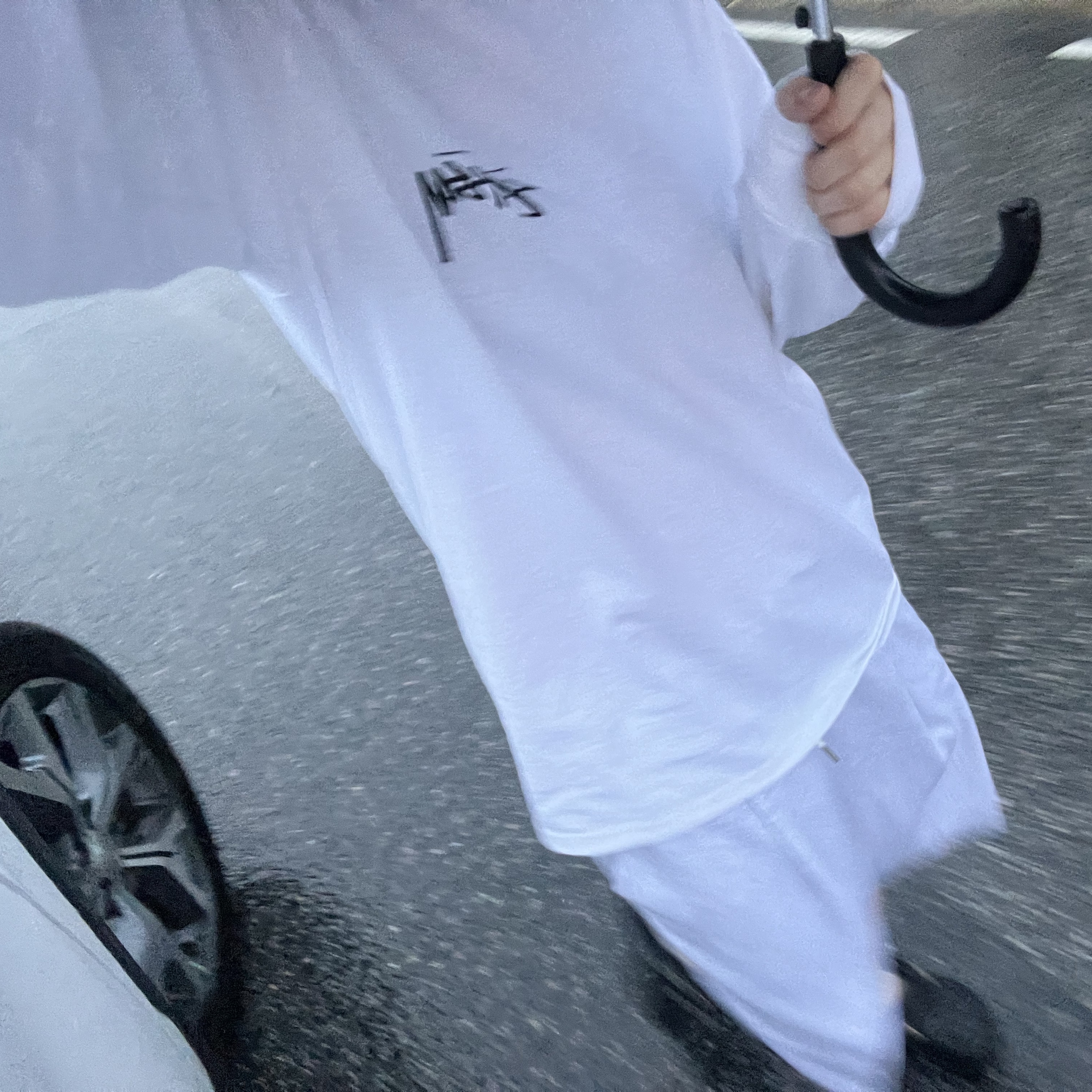 Stussy Gold Lion LS T-Shirt White 착용 스타일 - 2