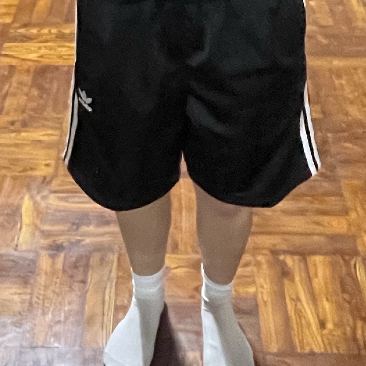 Adidas Adicolor Firebird Shorts Black White - KR Sizing 착용 스타일