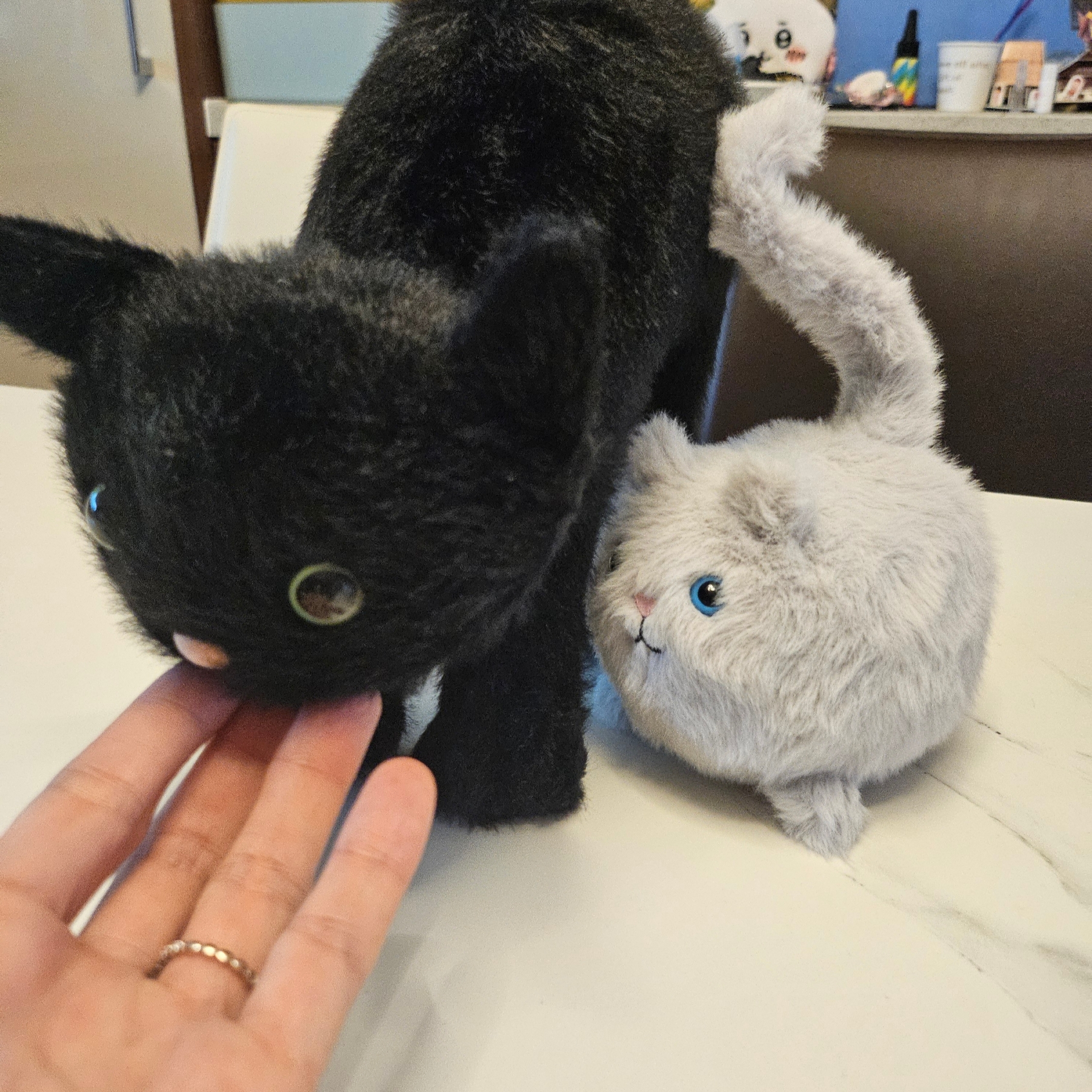 Jellycat Spookipaws Cat Black 착용 스타일