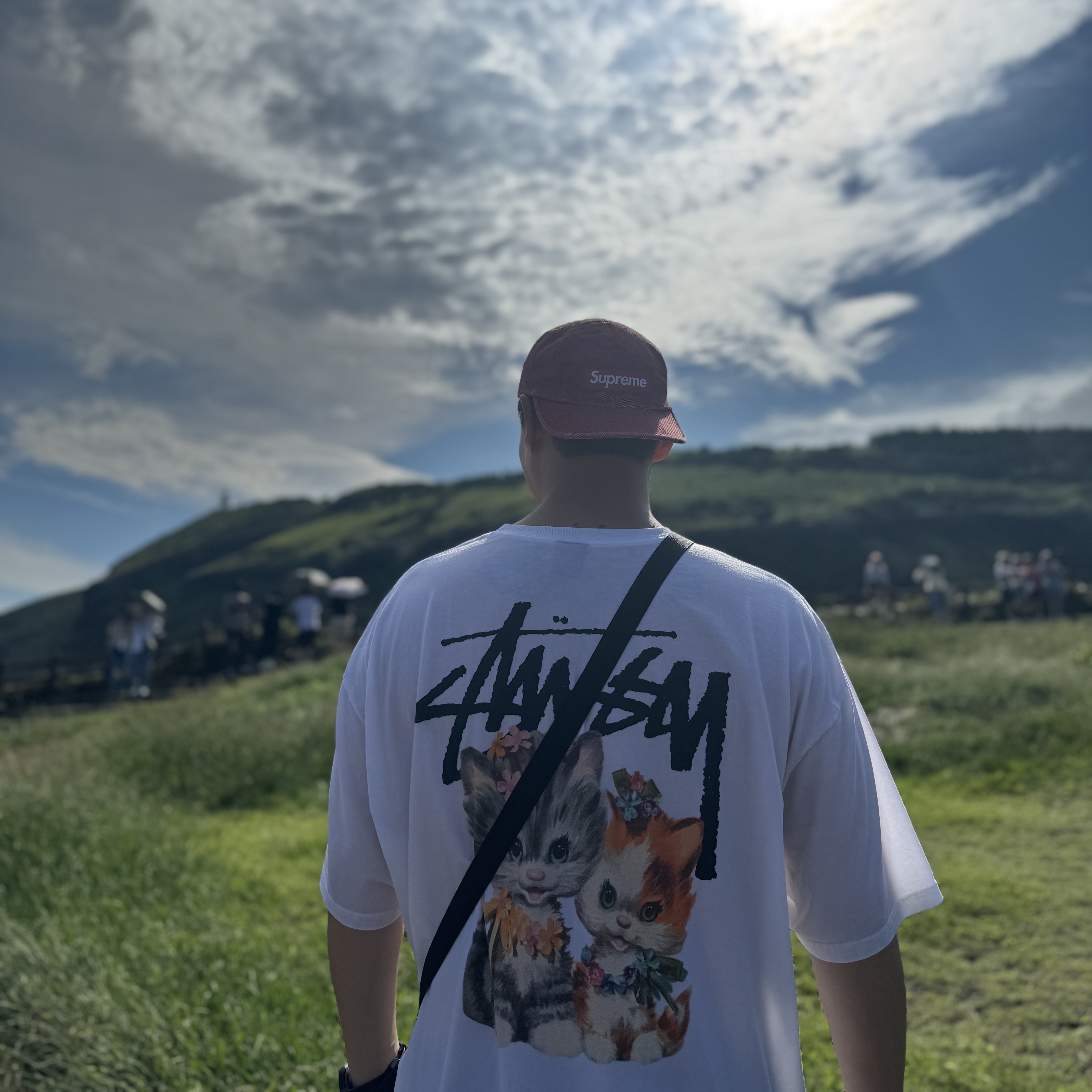 Stussy Kittens T-Shirt White, Supreme Coated Denim Camp Cap Red - 24SS 착용 스타일