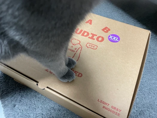 스타일 카드