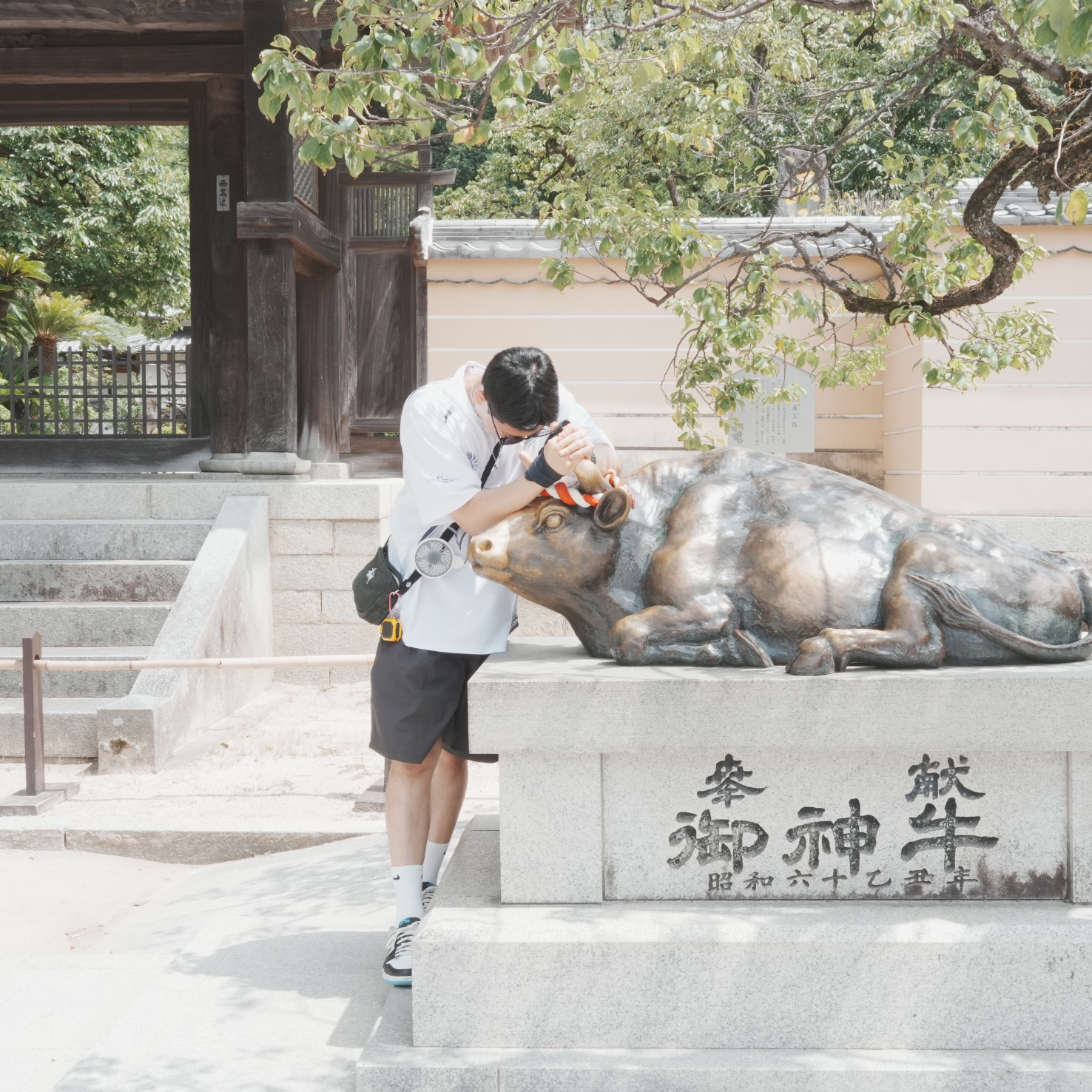 flgk3232님의 스타일