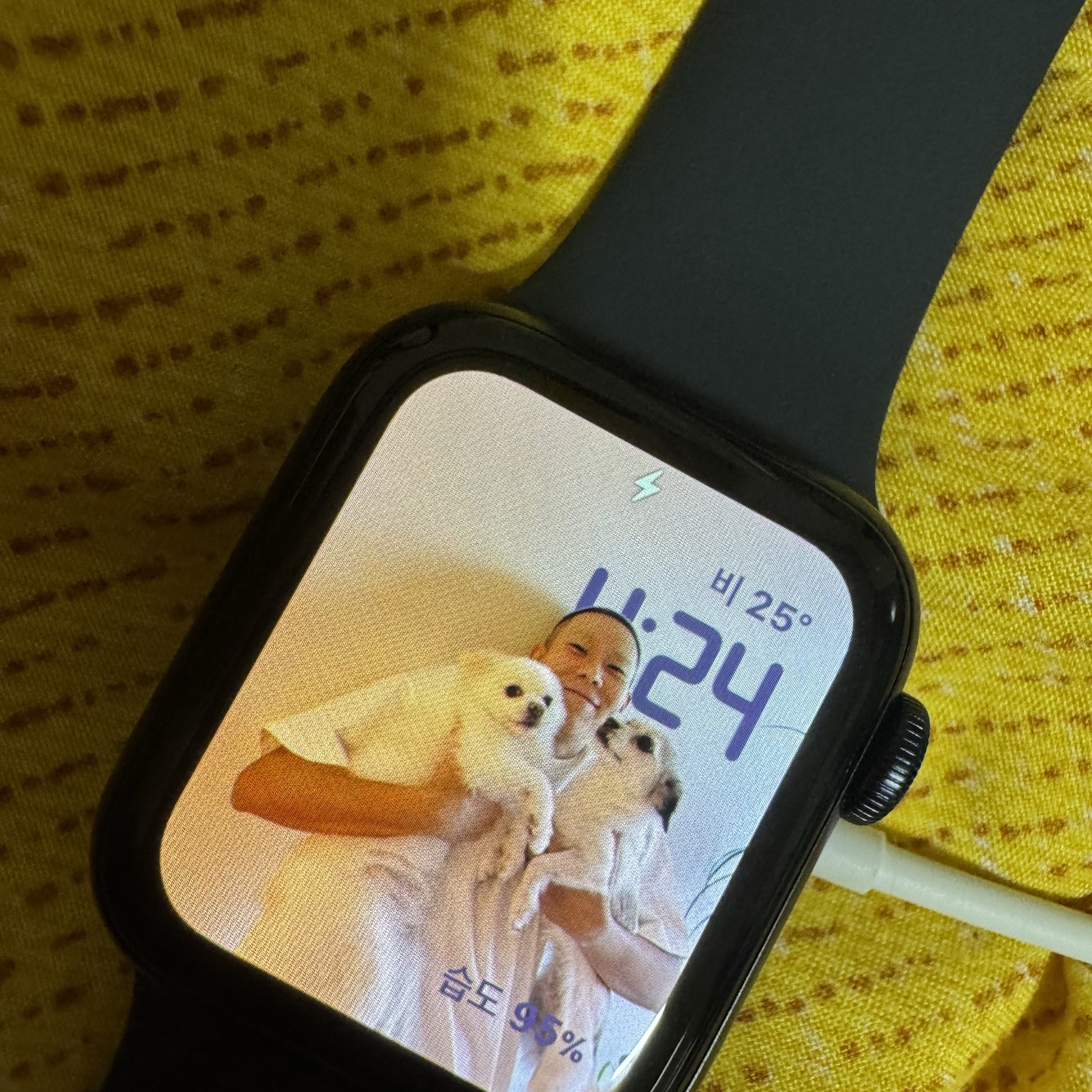 Apple Watch SE 40mm GPS Midnight Aluminum Case with Sport Band Midnight (Korean Ver.) 착용 스타일