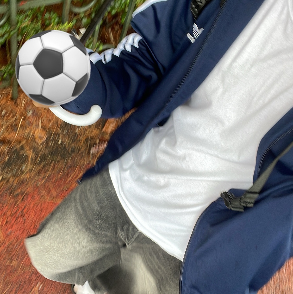 Adidas Adicolor Classic Firebird Track Top Night Indigo - KR Sizing 착용 스타일