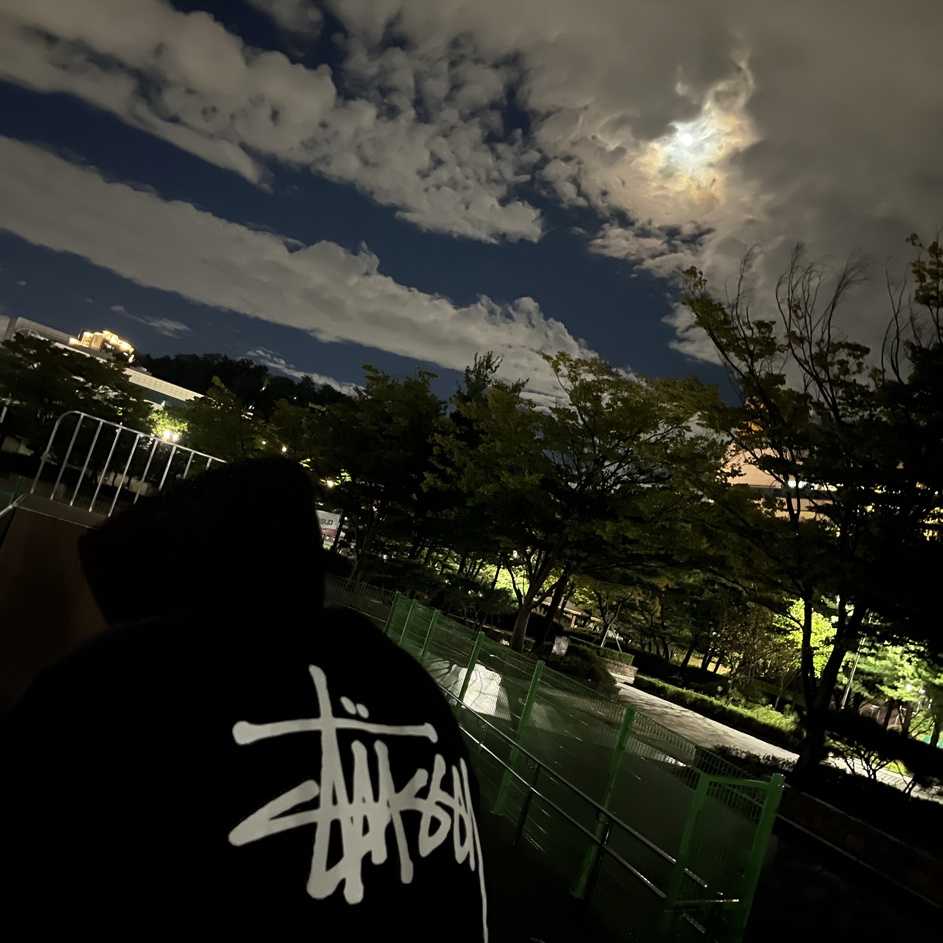 Stussy Basic Stussy Hoodie Black 착용 스타일