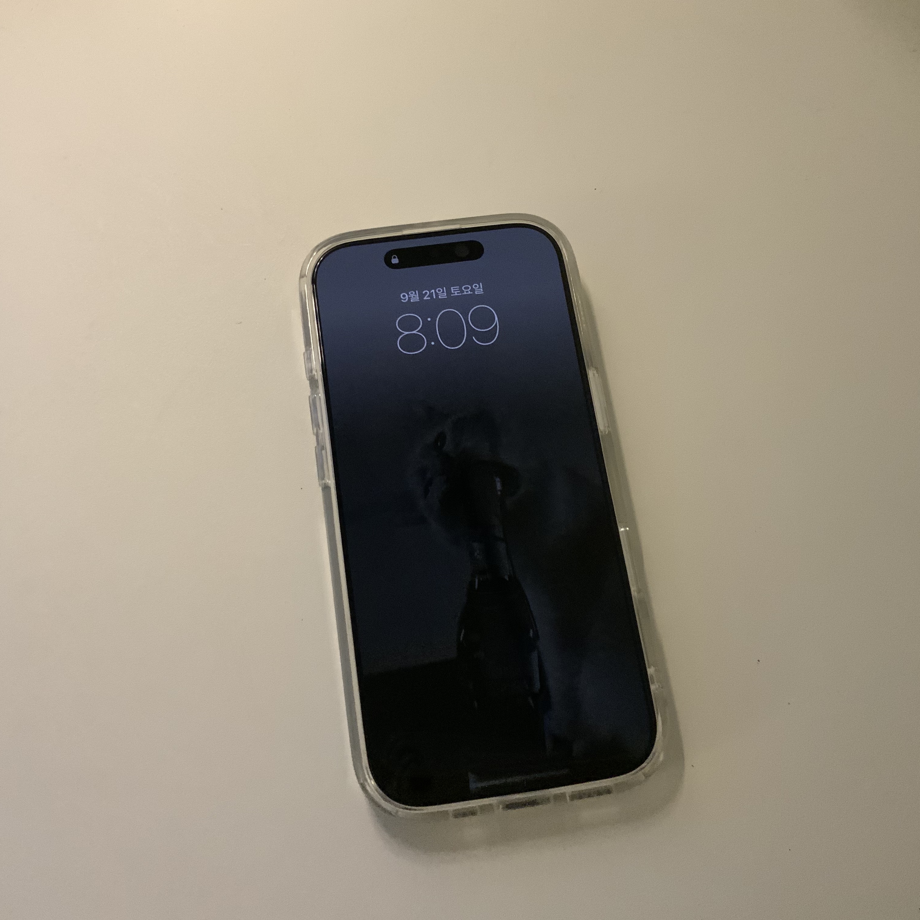 Apple iPhone 16 Pro 256GB White Titanium (Korean Ver.) 착용 스타일 - 3