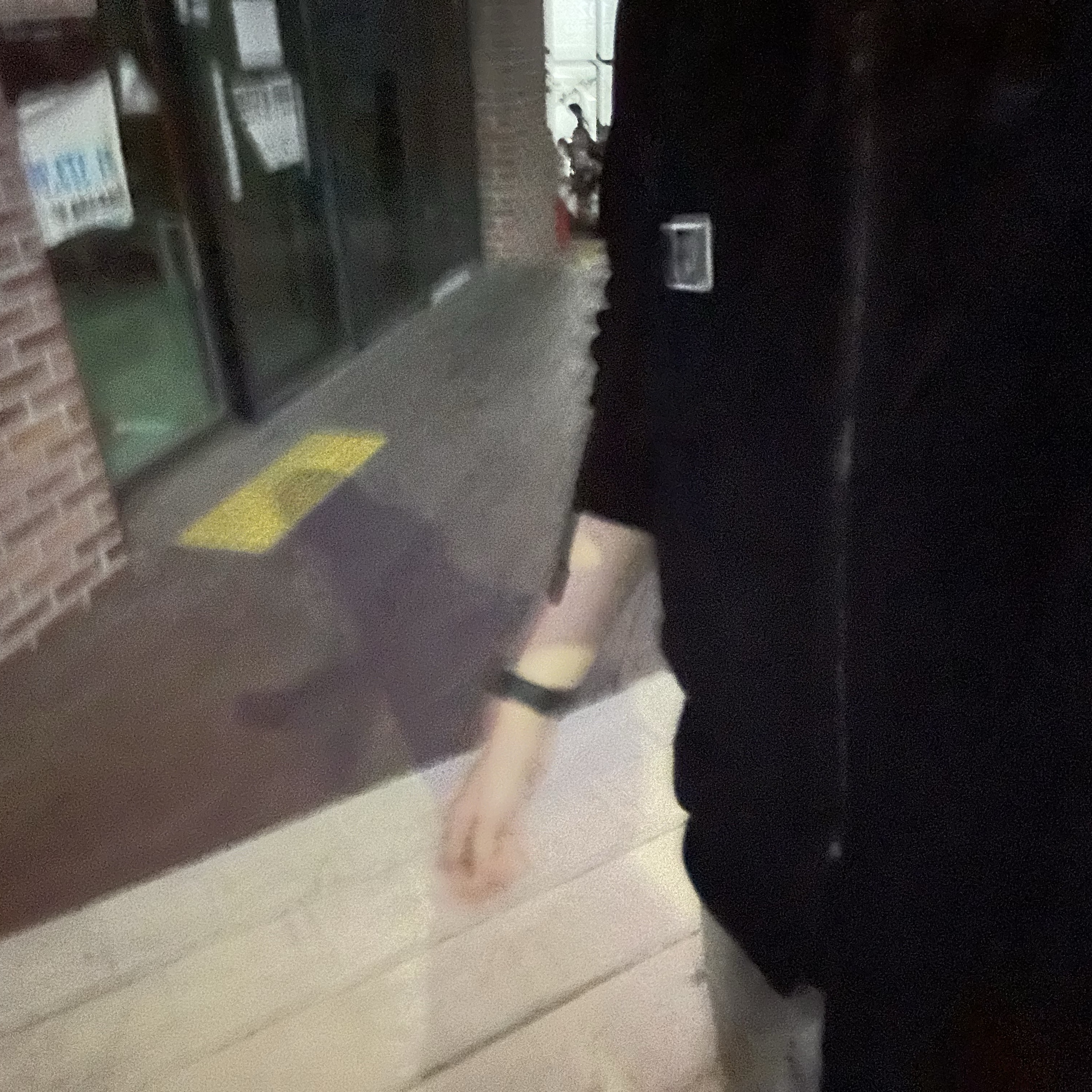 Wooyoungmi Back Logo Hooded Zip-Up Black - 24SS 착용 스타일 - 3