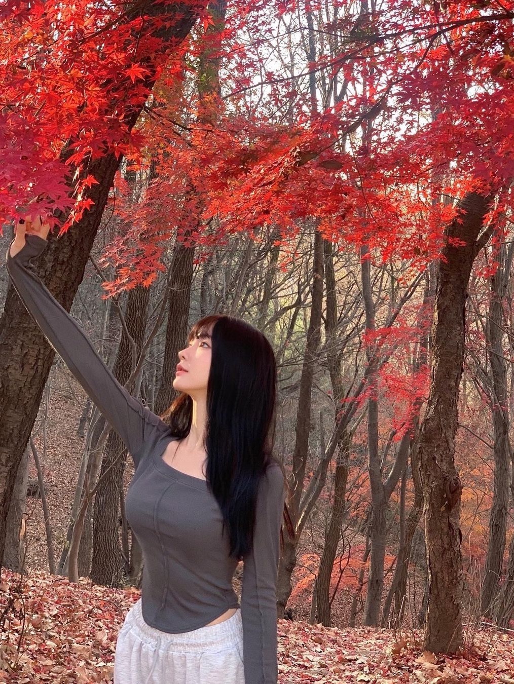 oneul.codi님의 스타일