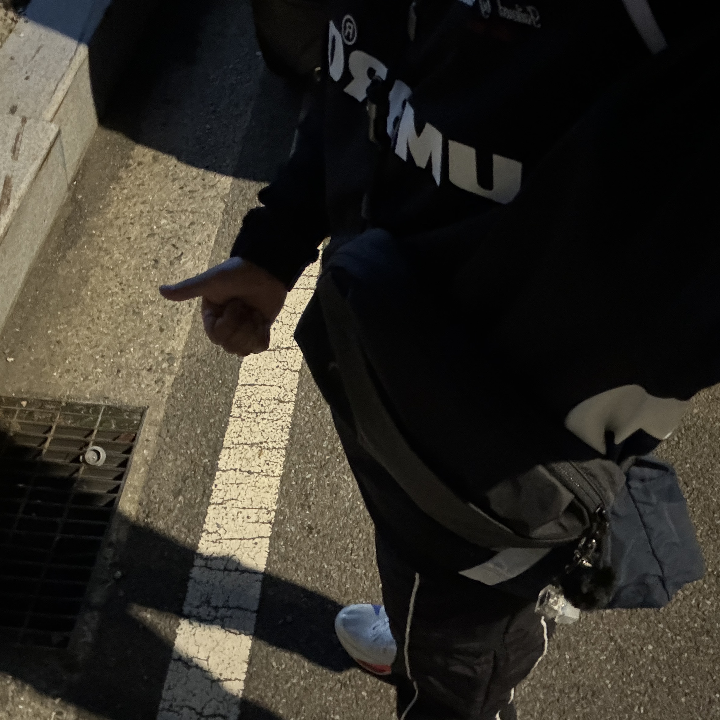 Nike Air Zoom Alphafly Next% 3 Blueprint, Arc'teryx Heliad 6 Crossbody Bag Black 착용 스타일