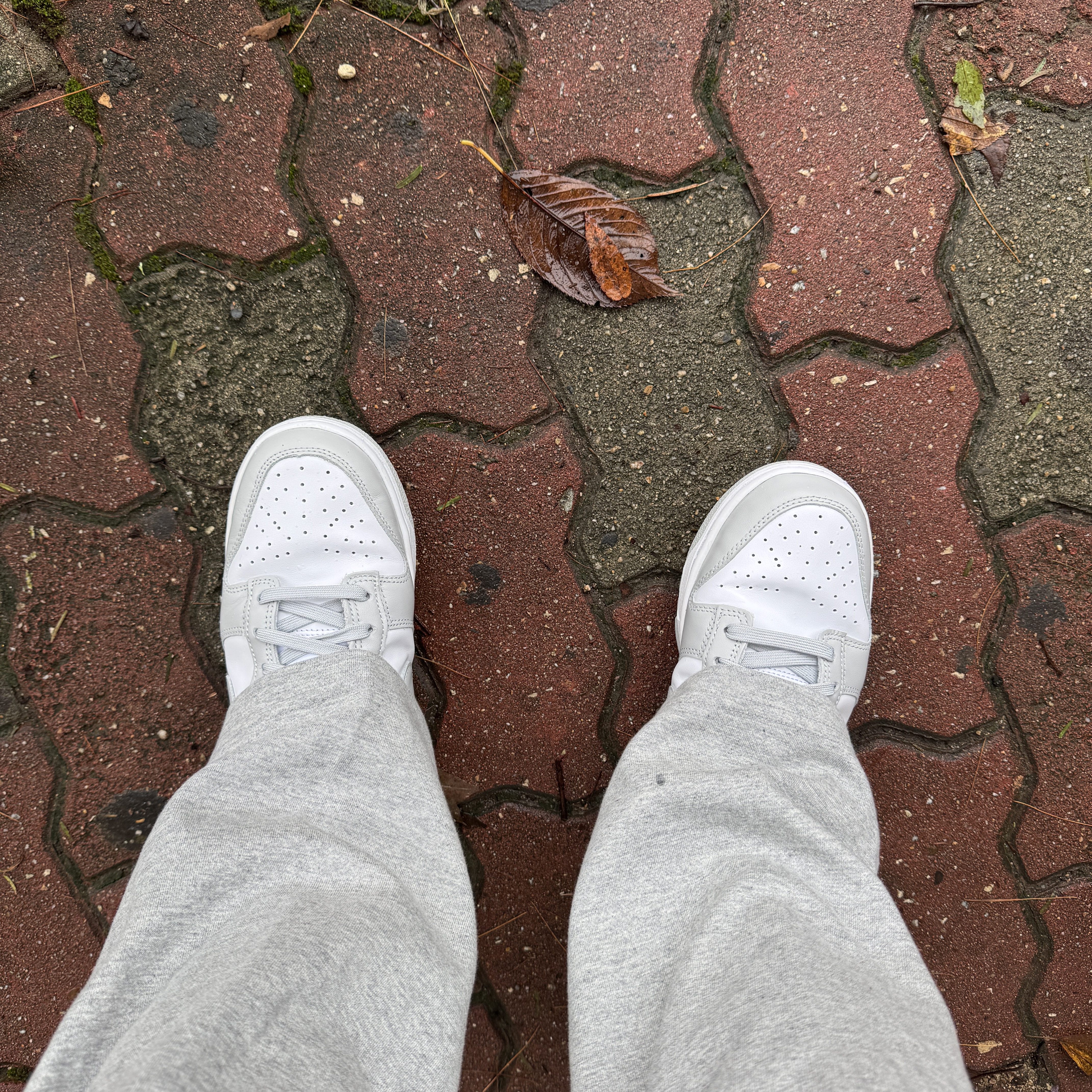 Nike Dunk Low Retro Grey Fog 착용 스타일 - 1