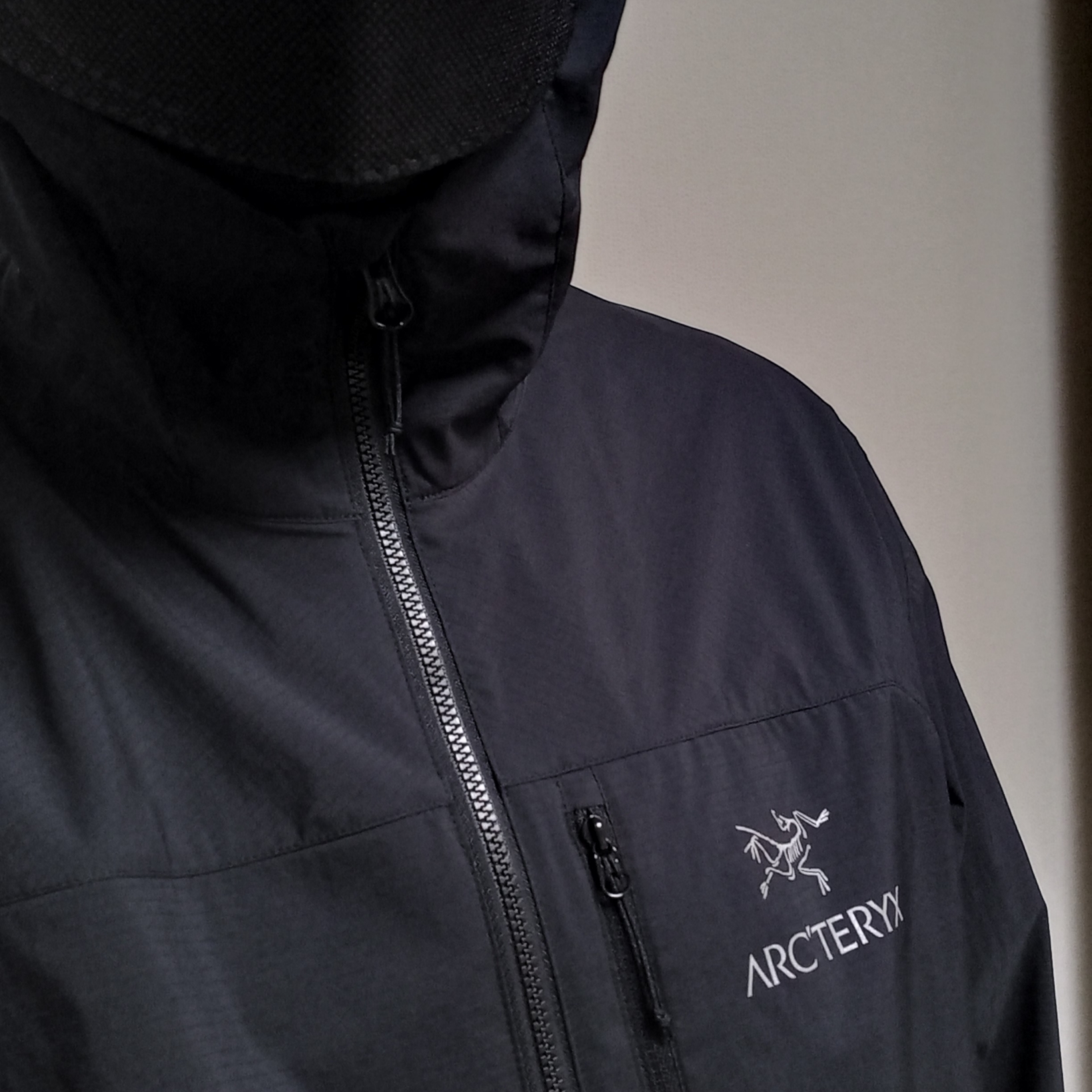 Arc'teryx Squamish Hoody Black 착용 스타일 - 5